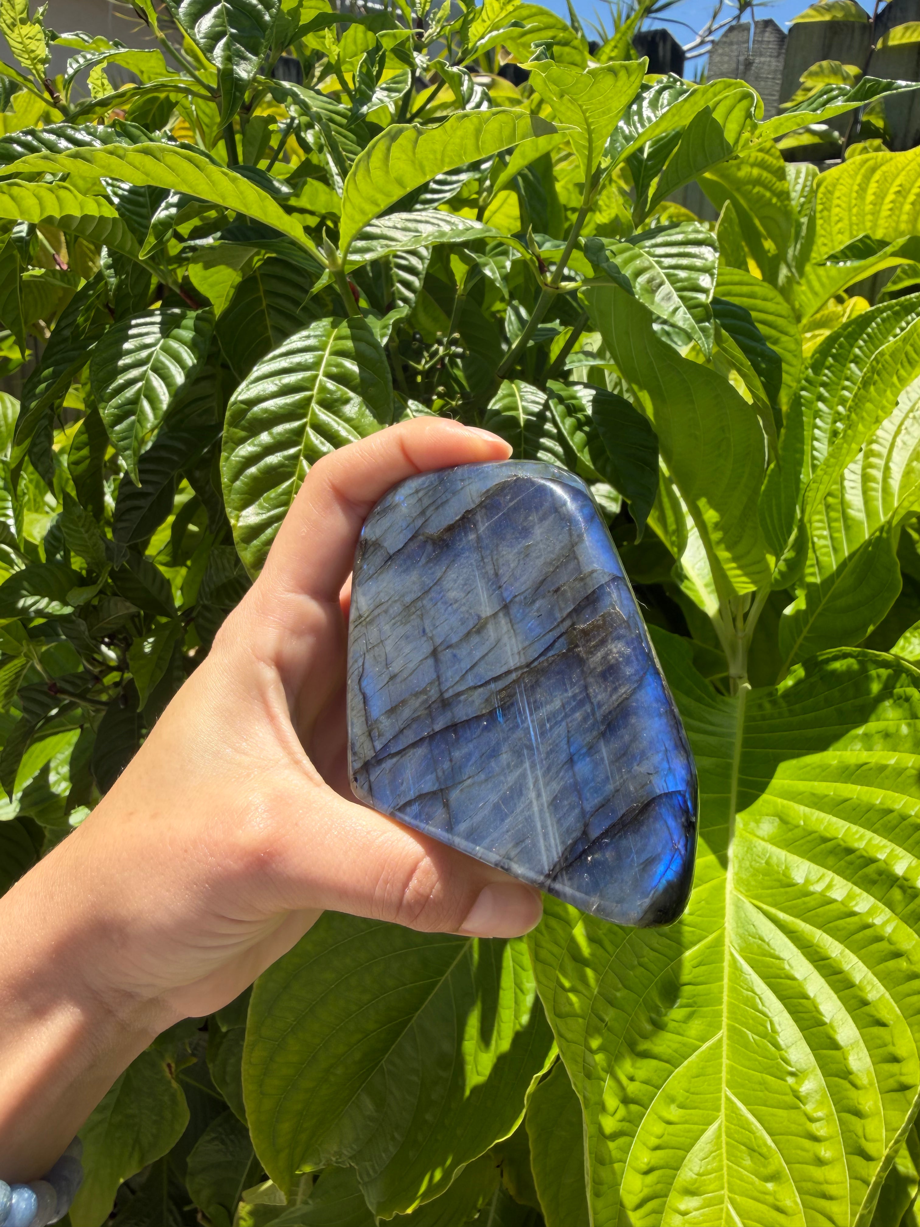 Labradorite Freeforms