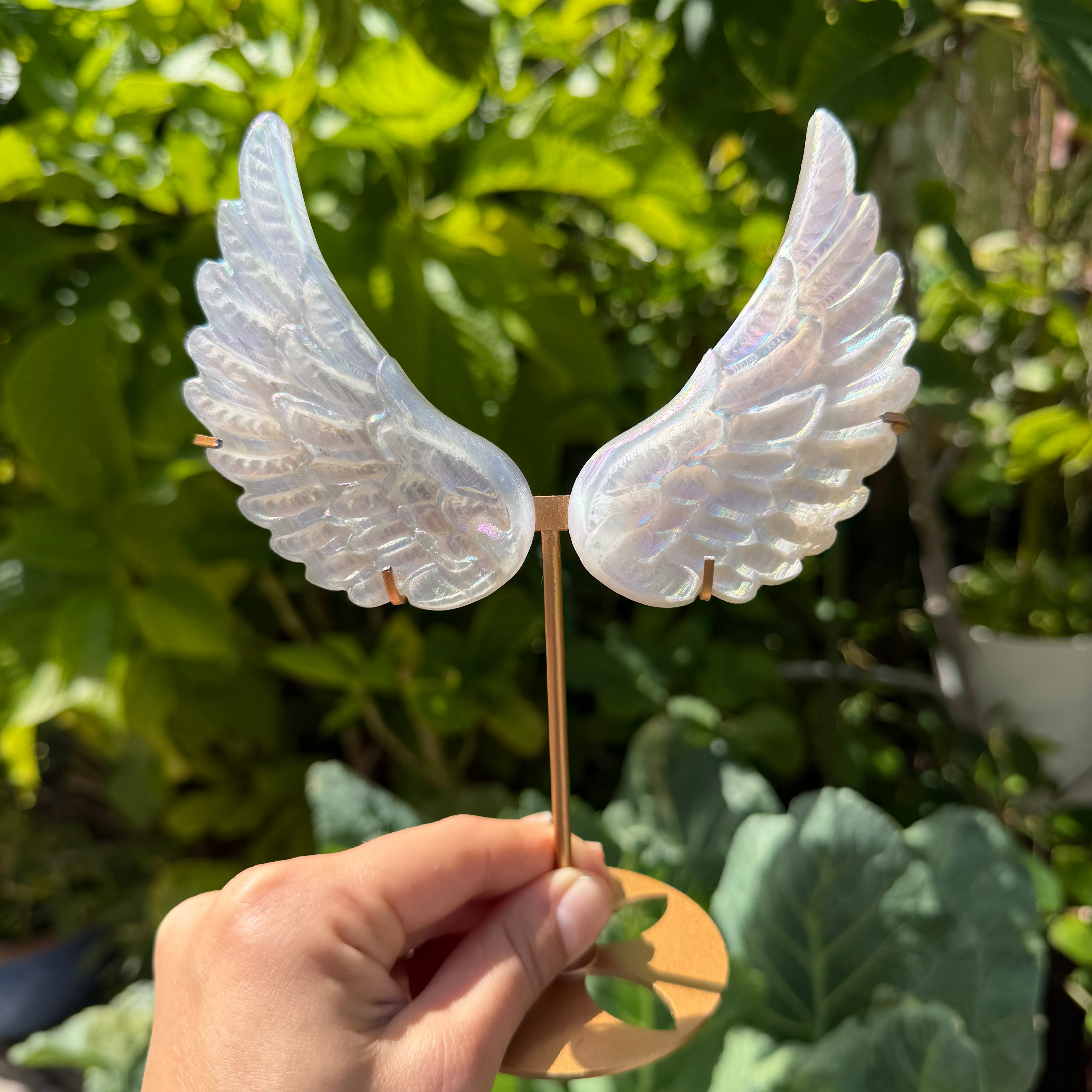 Aura Selenite Angel Wings With Stand