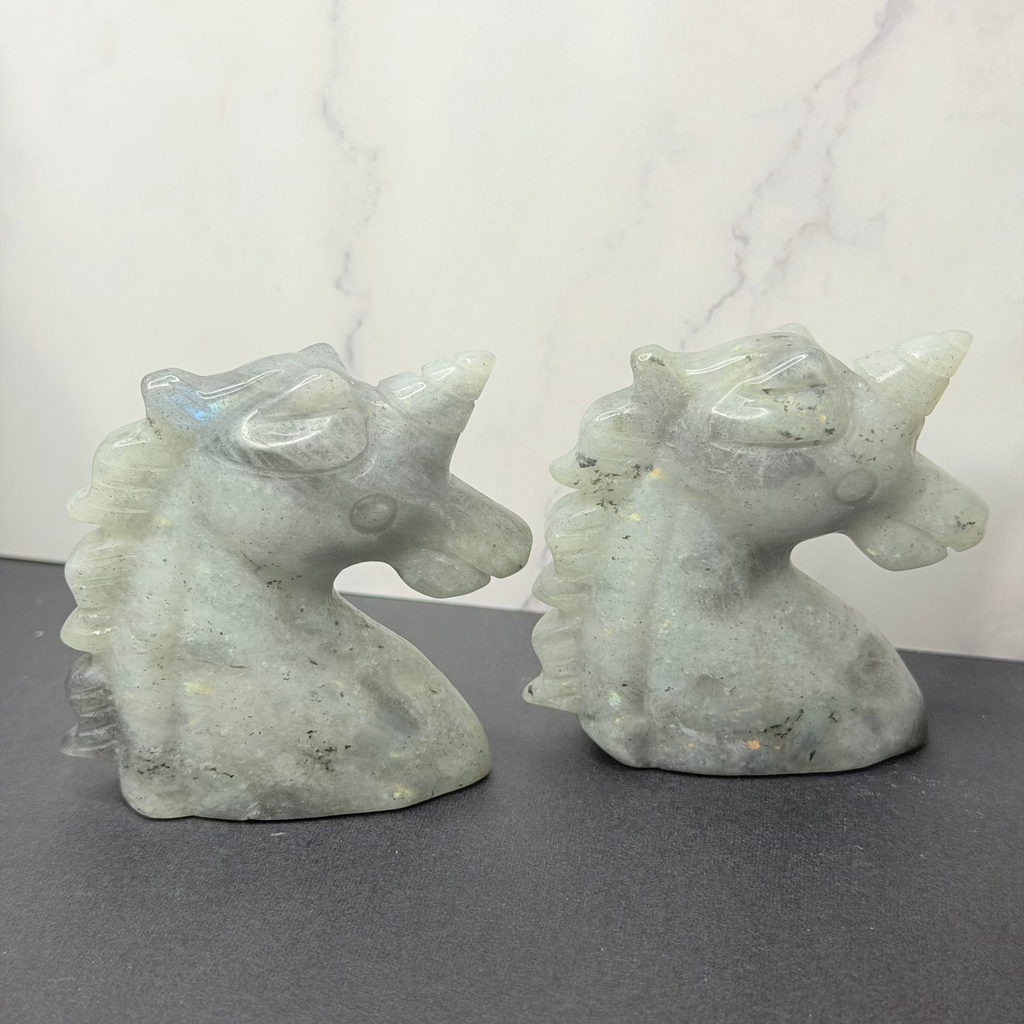Unicorn Carvings