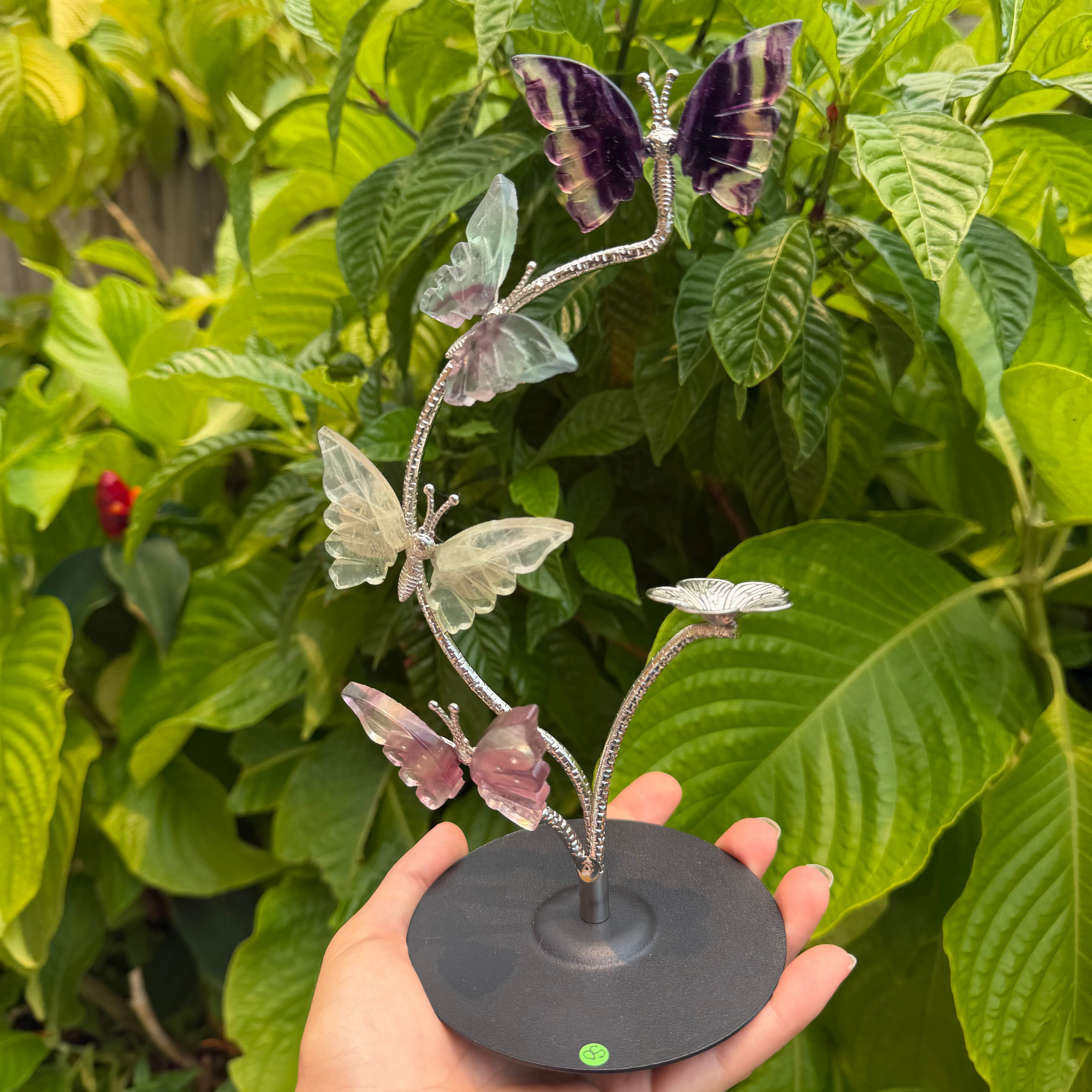 Fluorite Butterfly Sphere Holder