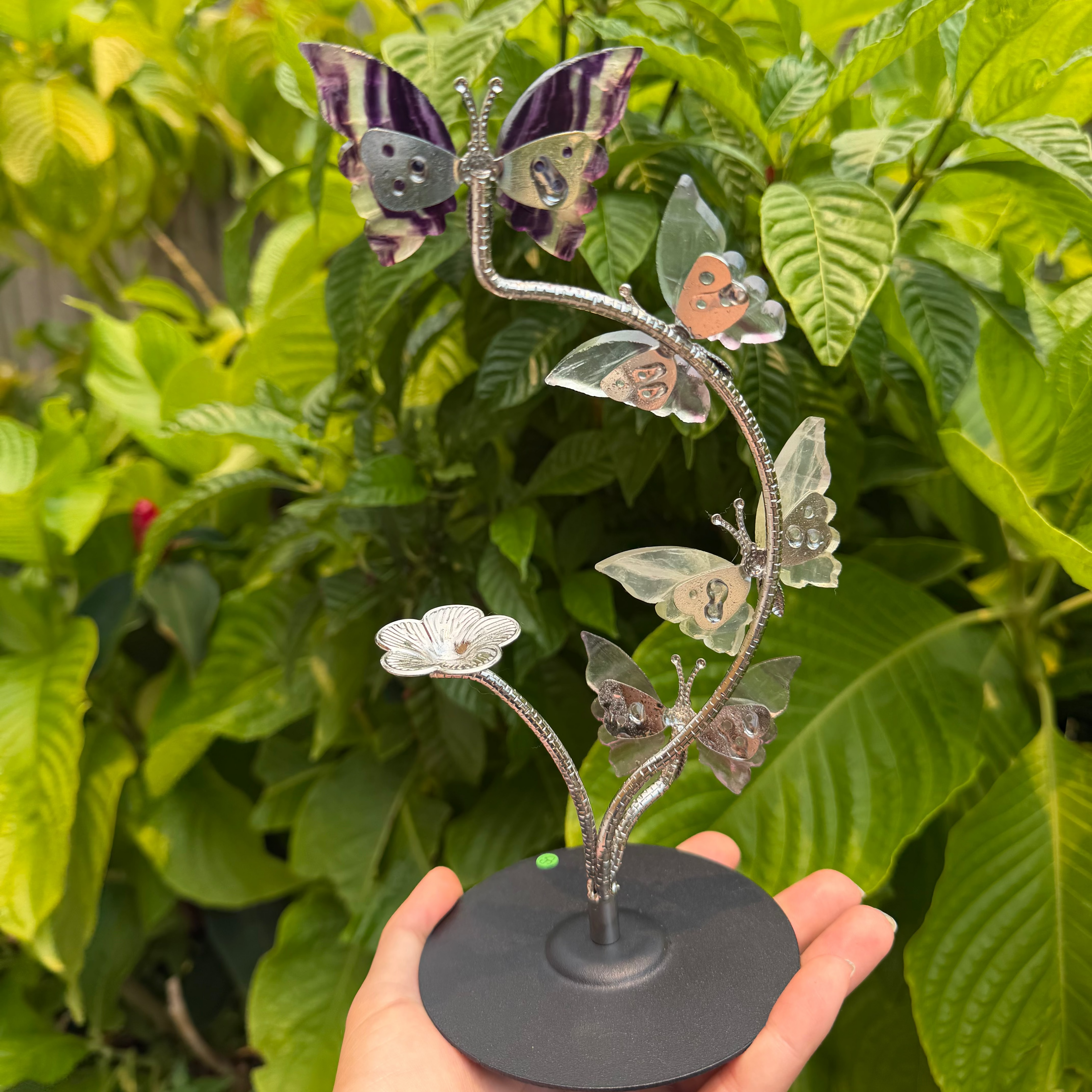 Fluorite Butterfly Sphere Holder
