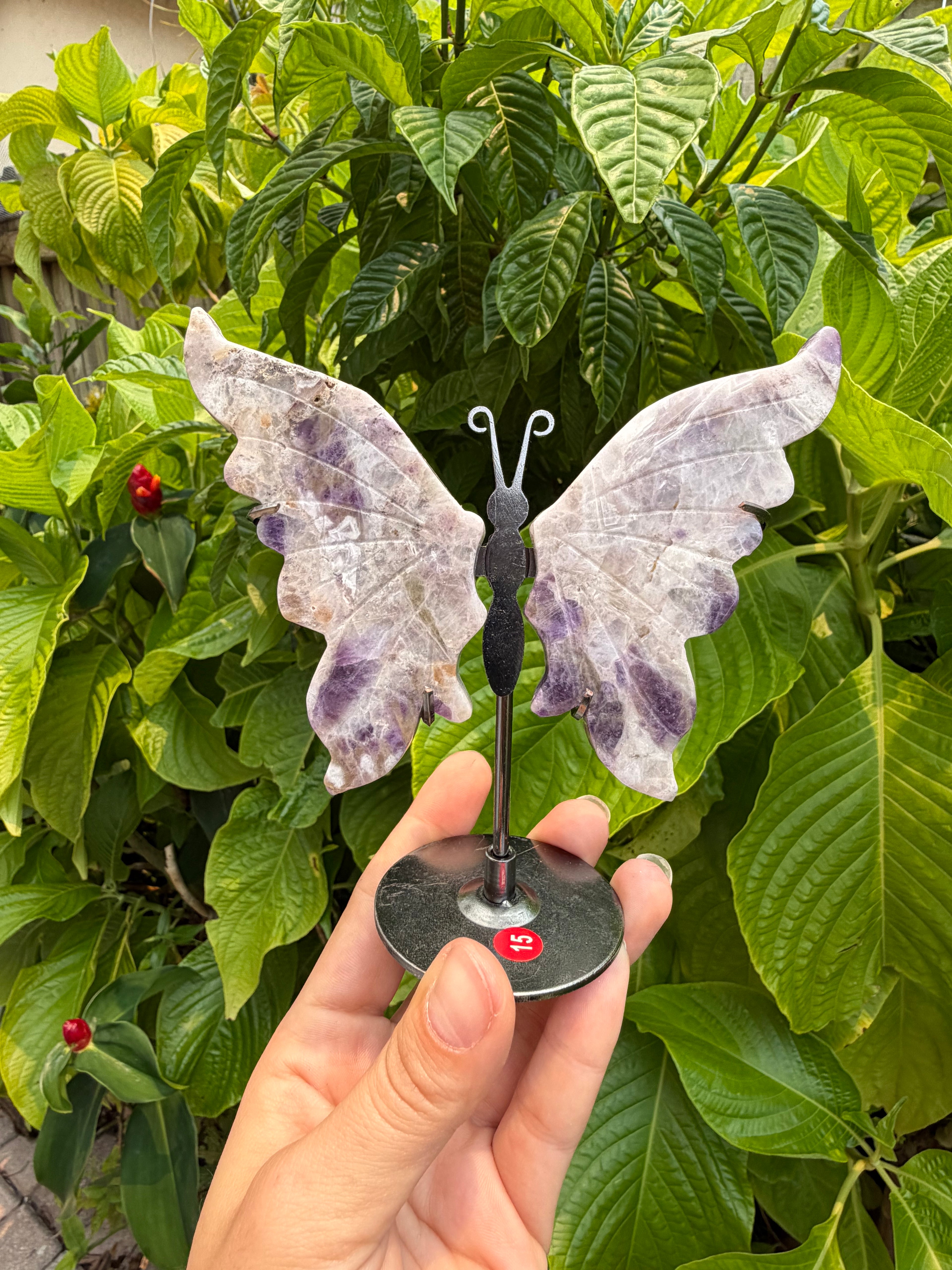Butterfly Wings with Stands