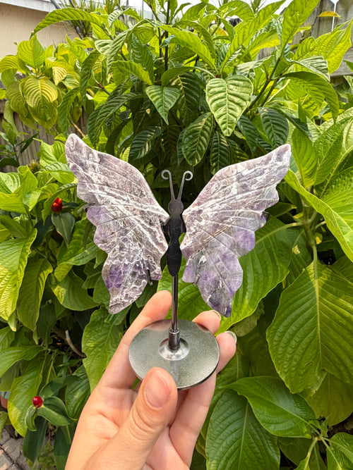 Butterfly Wings with Stands
