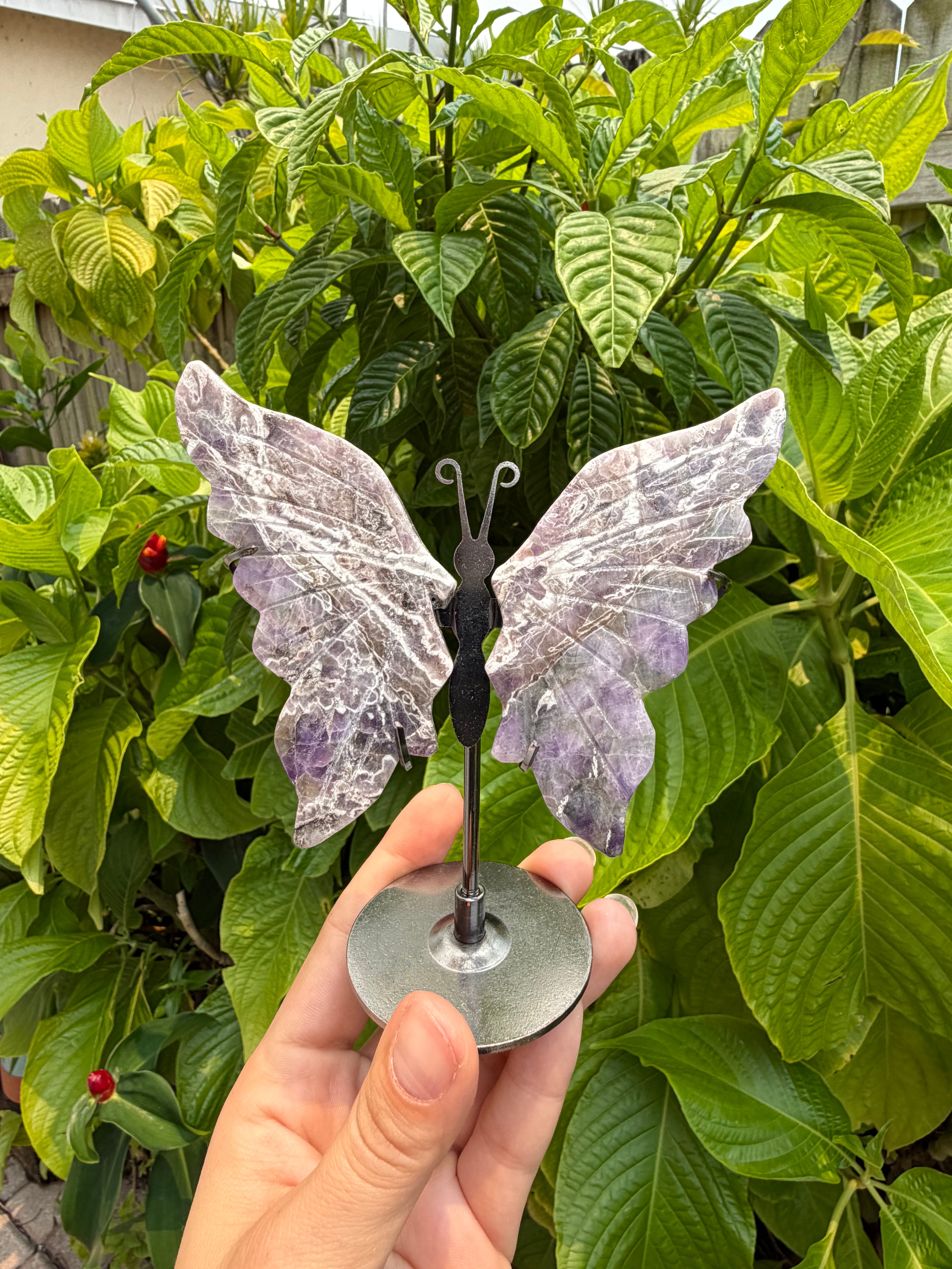 Butterfly Wings with Stands