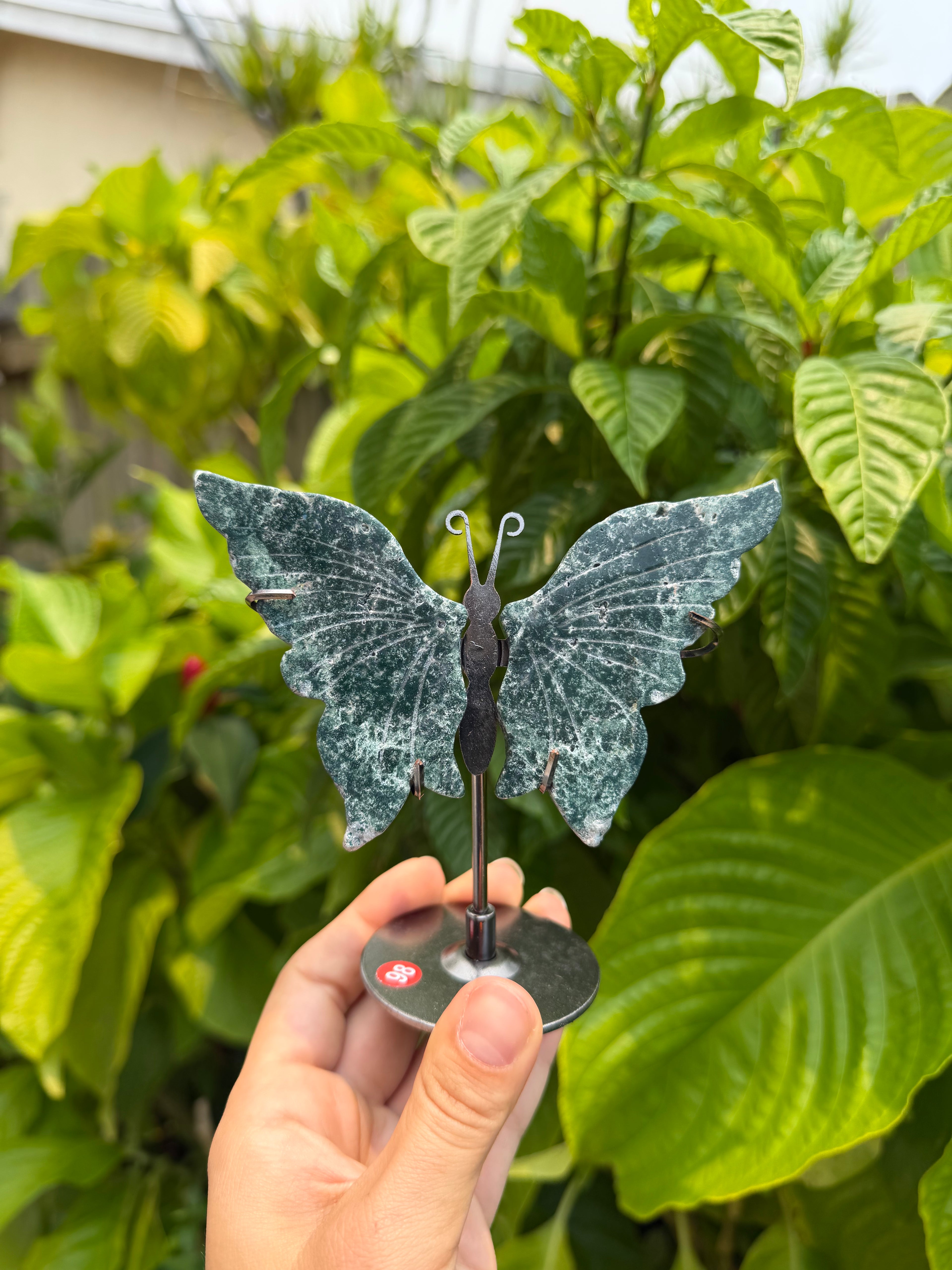 Butterfly Wings with Stands