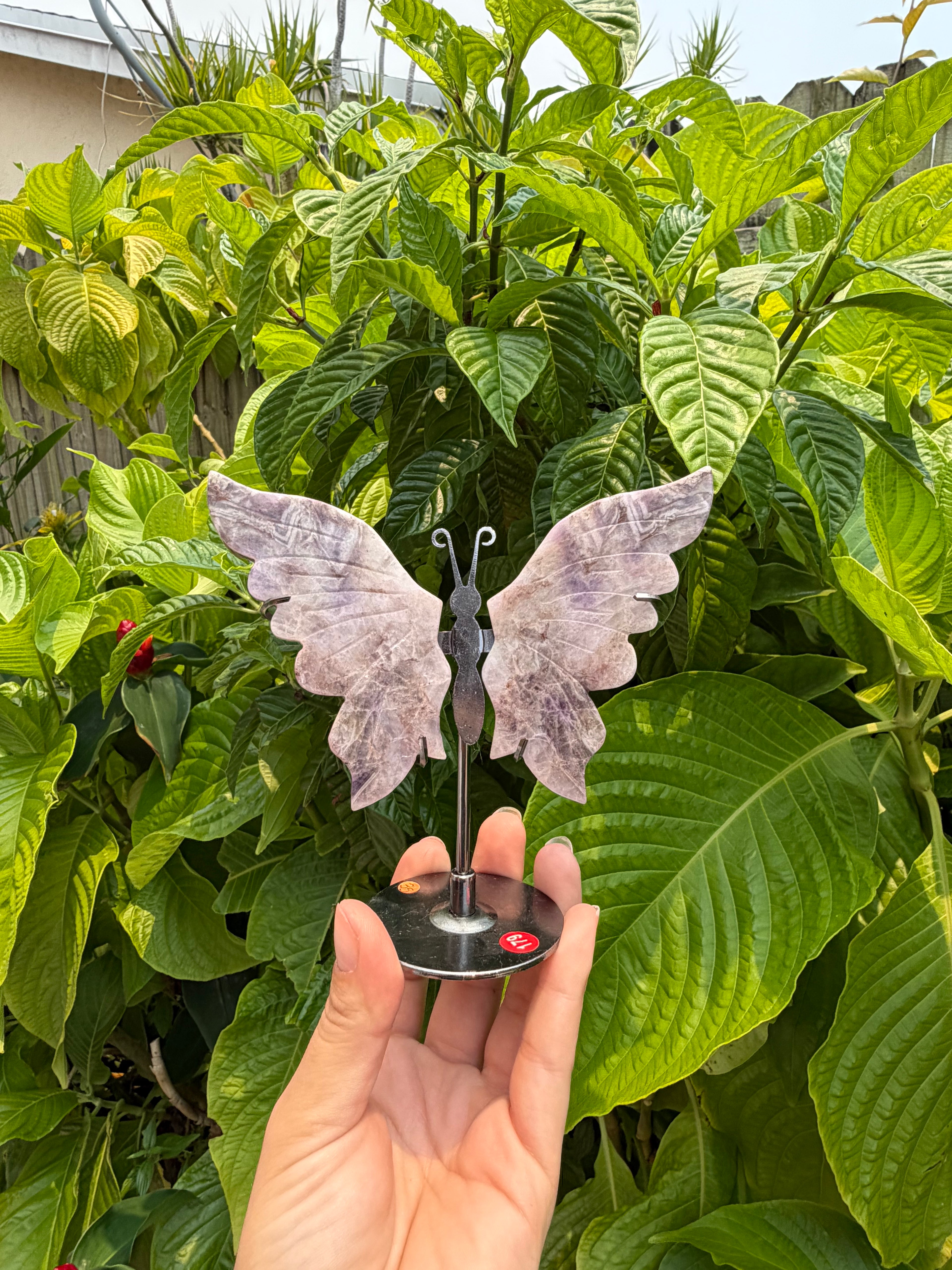 Butterfly Wings with Stands