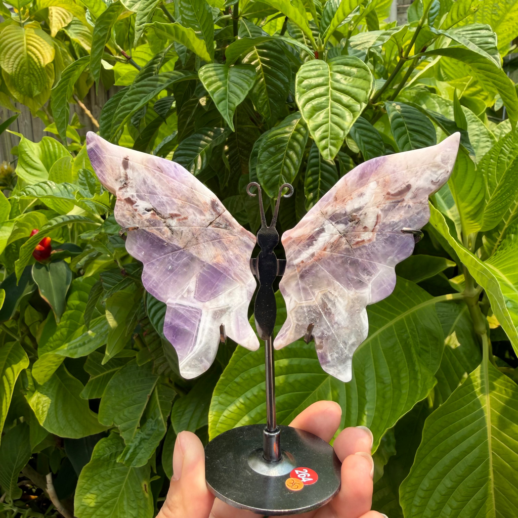 Butterfly Wings with Stands