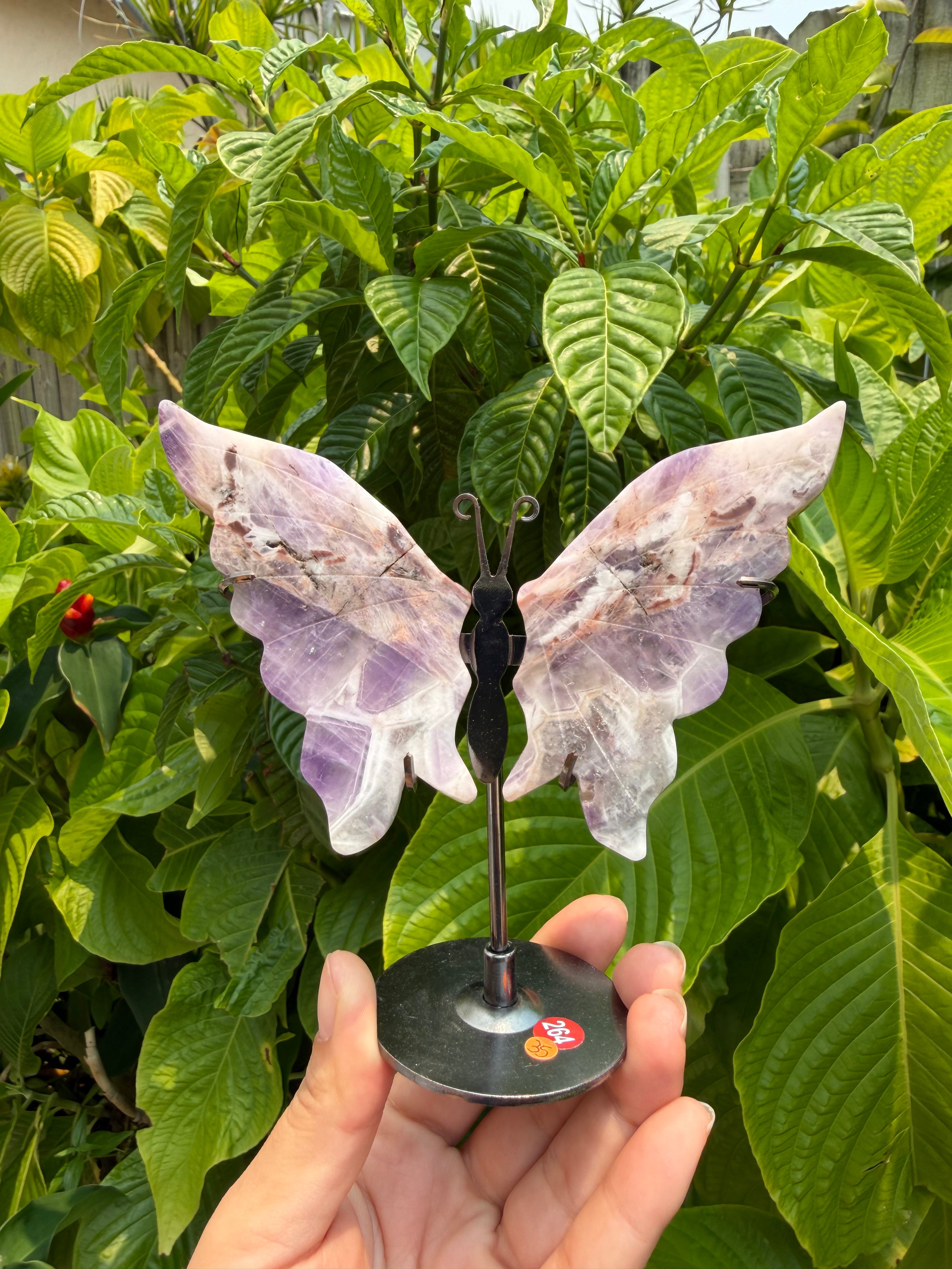 Butterfly Wings with Stands