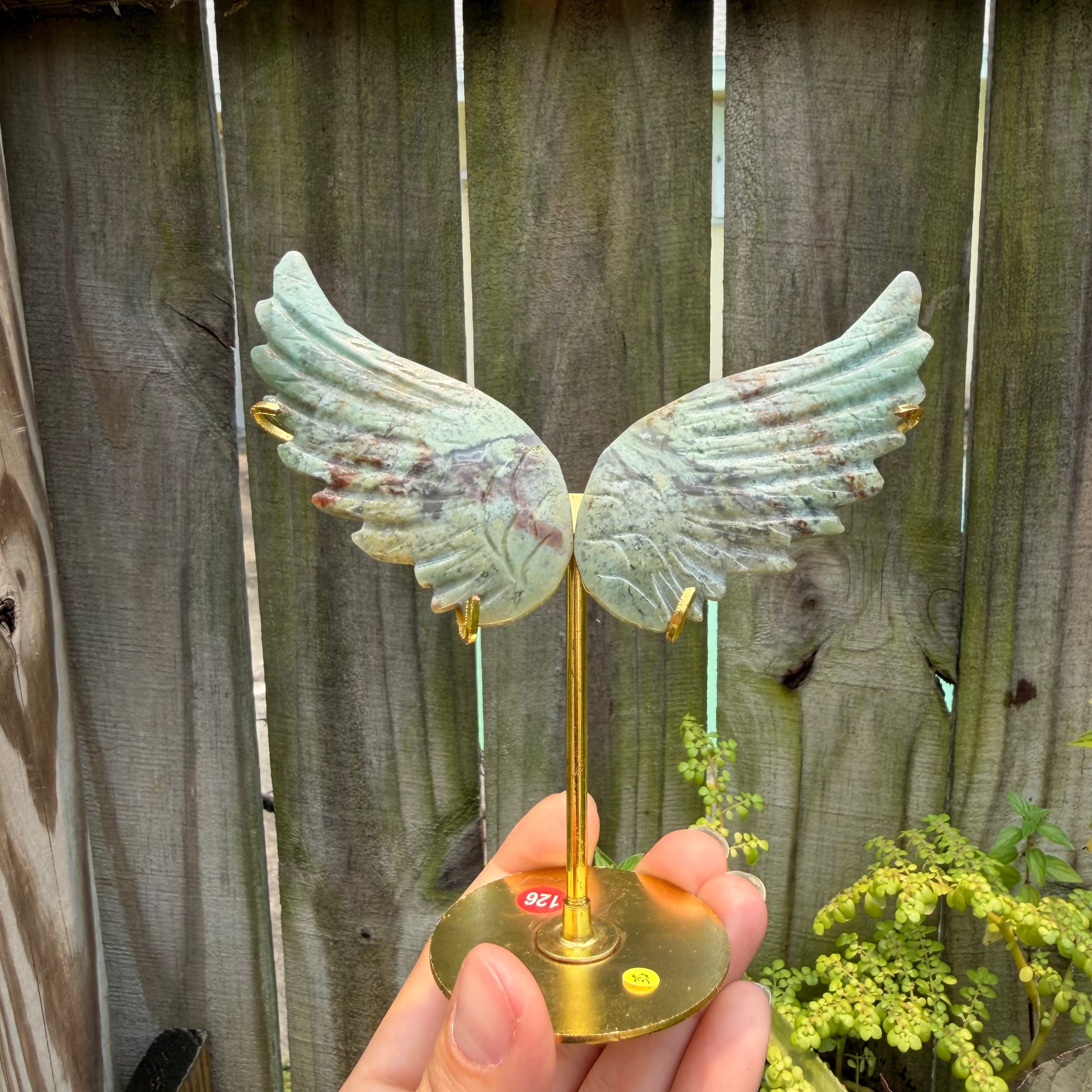 Angel Wings with Stands