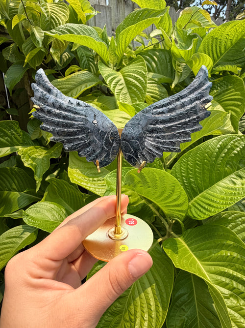 Angel Wings with Stands