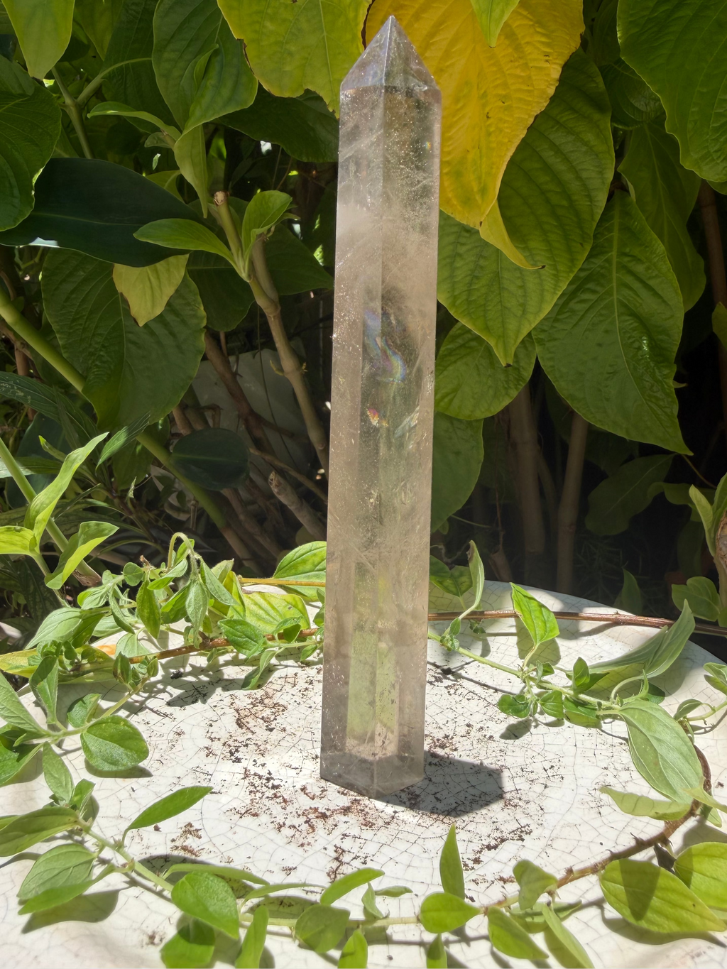 Smoky Quartz Tower Packed with Rainbows