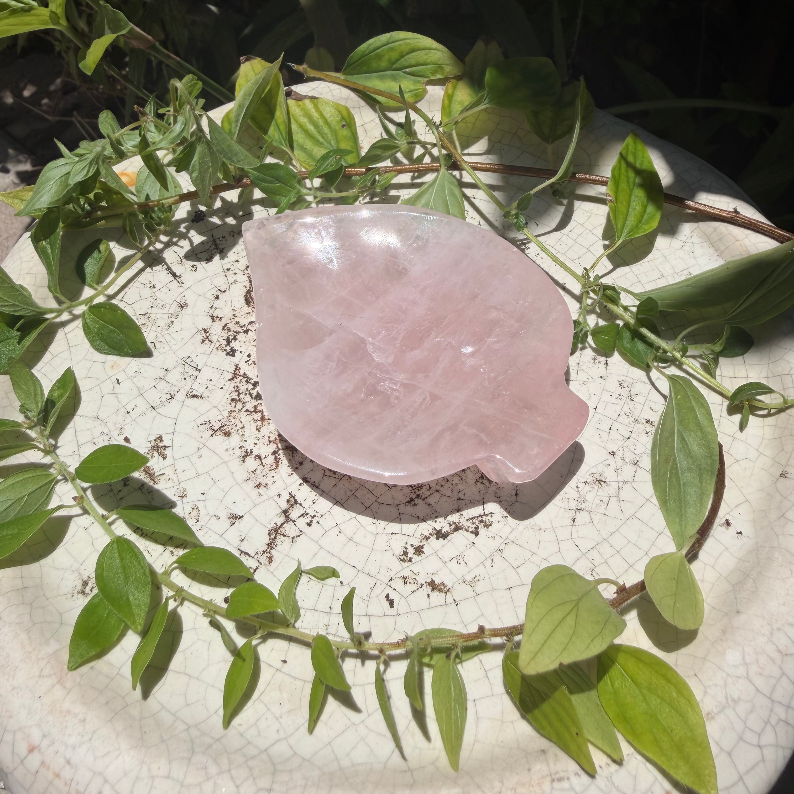 Rose Quartz Leaf Bowl