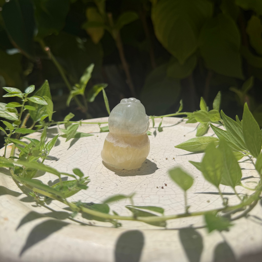 Cute little fluorite ducky carving