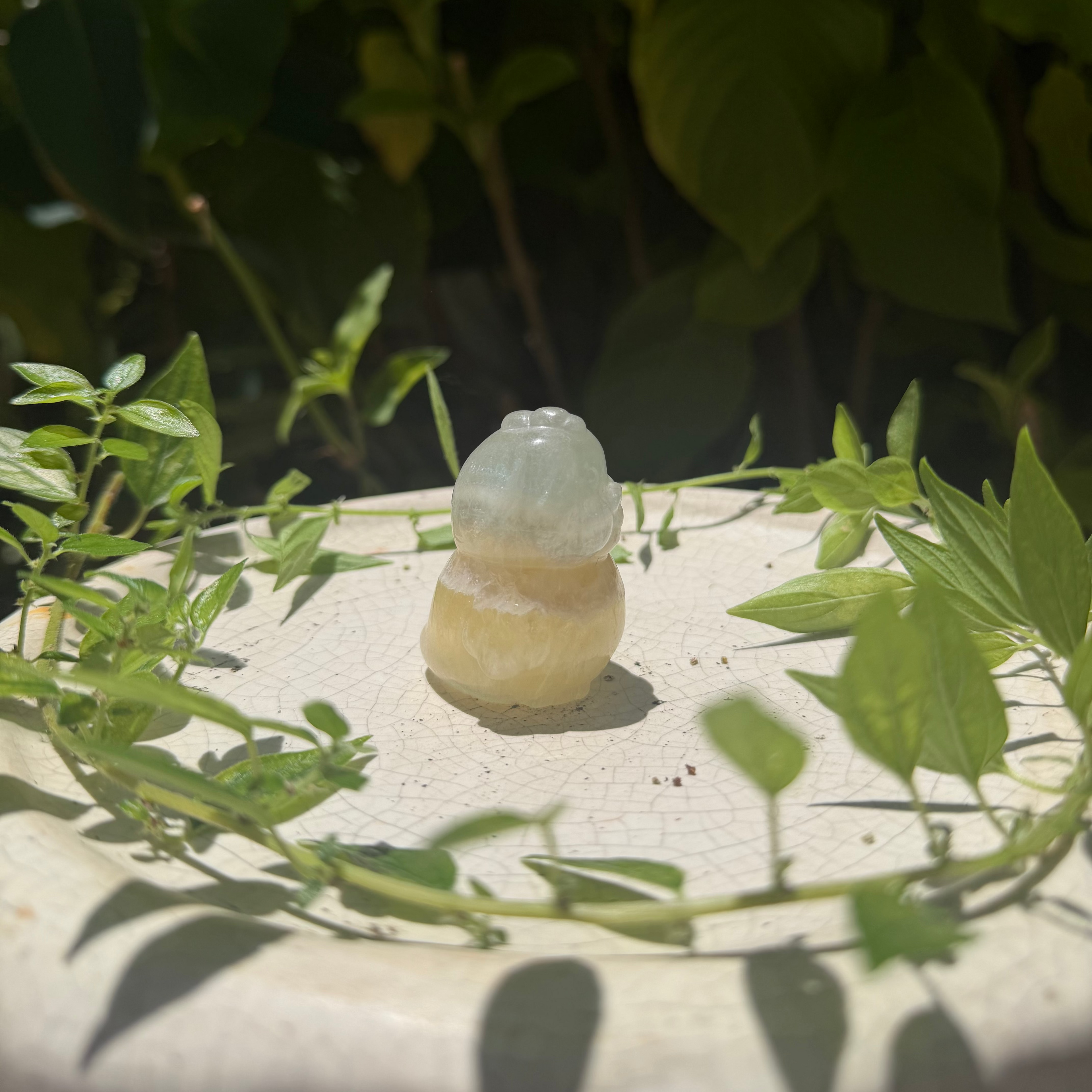 Cute little fluorite ducky carving