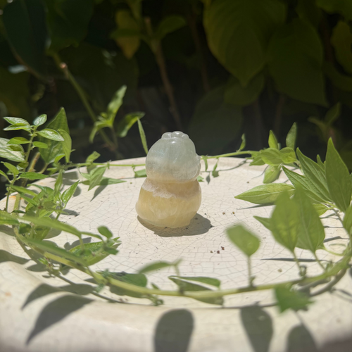 Cute little fluorite ducky carving