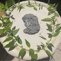 Silver Sheen Obsidian Medusa Carving