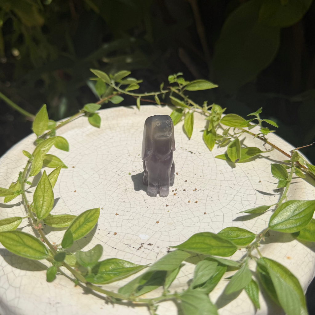 Fluorite Doggy Carving