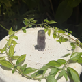 Fluorite Doggy Carving
