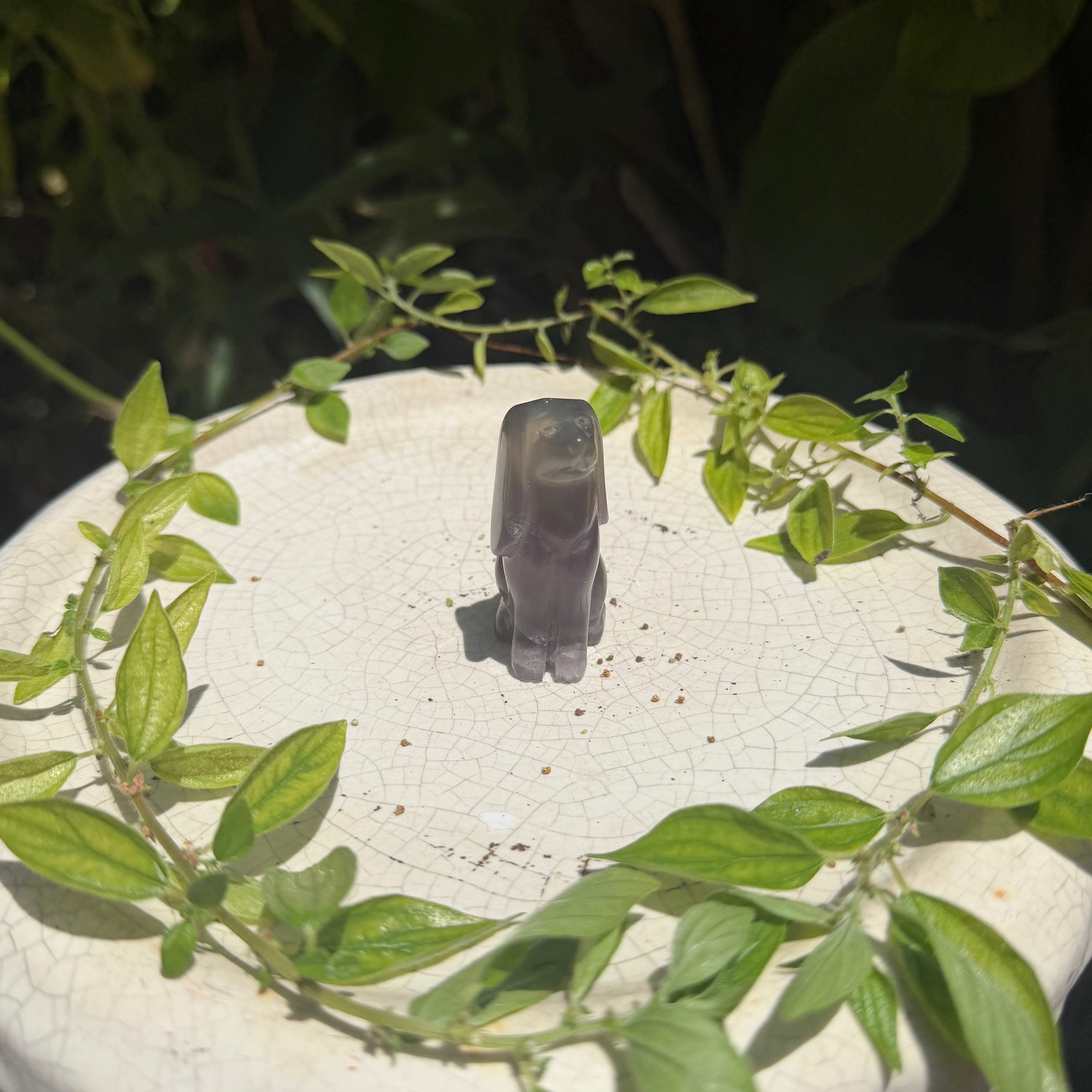 Fluorite Doggy Carving
