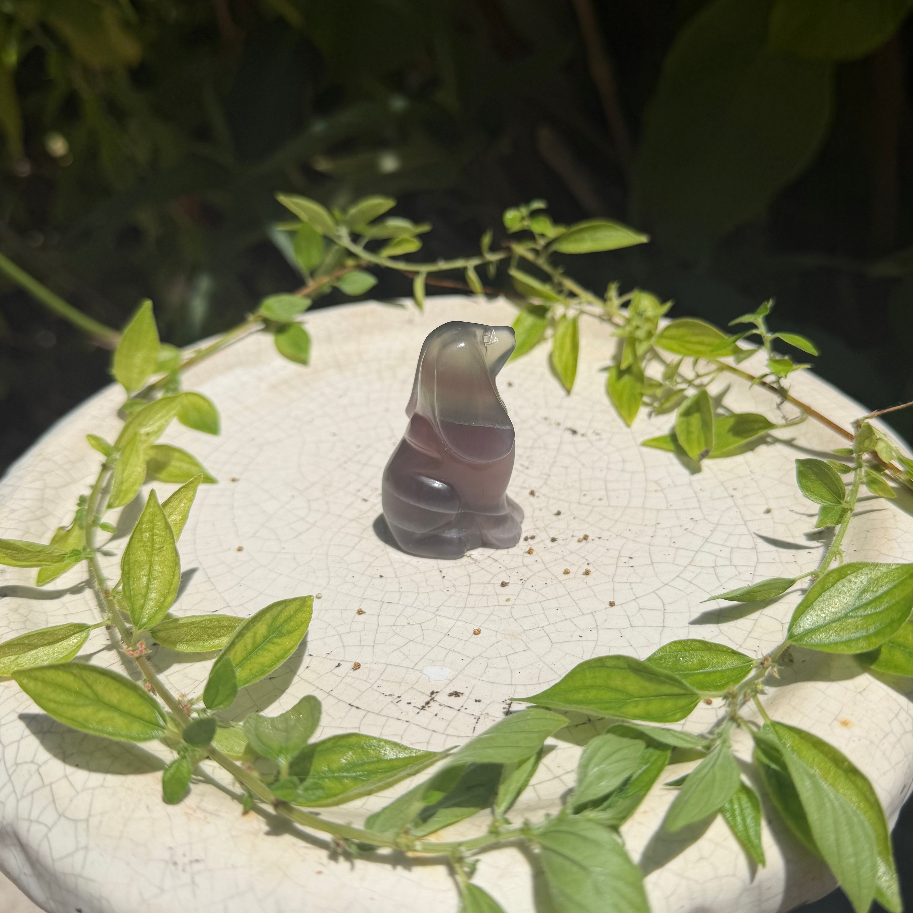 Fluorite Doggy Carving