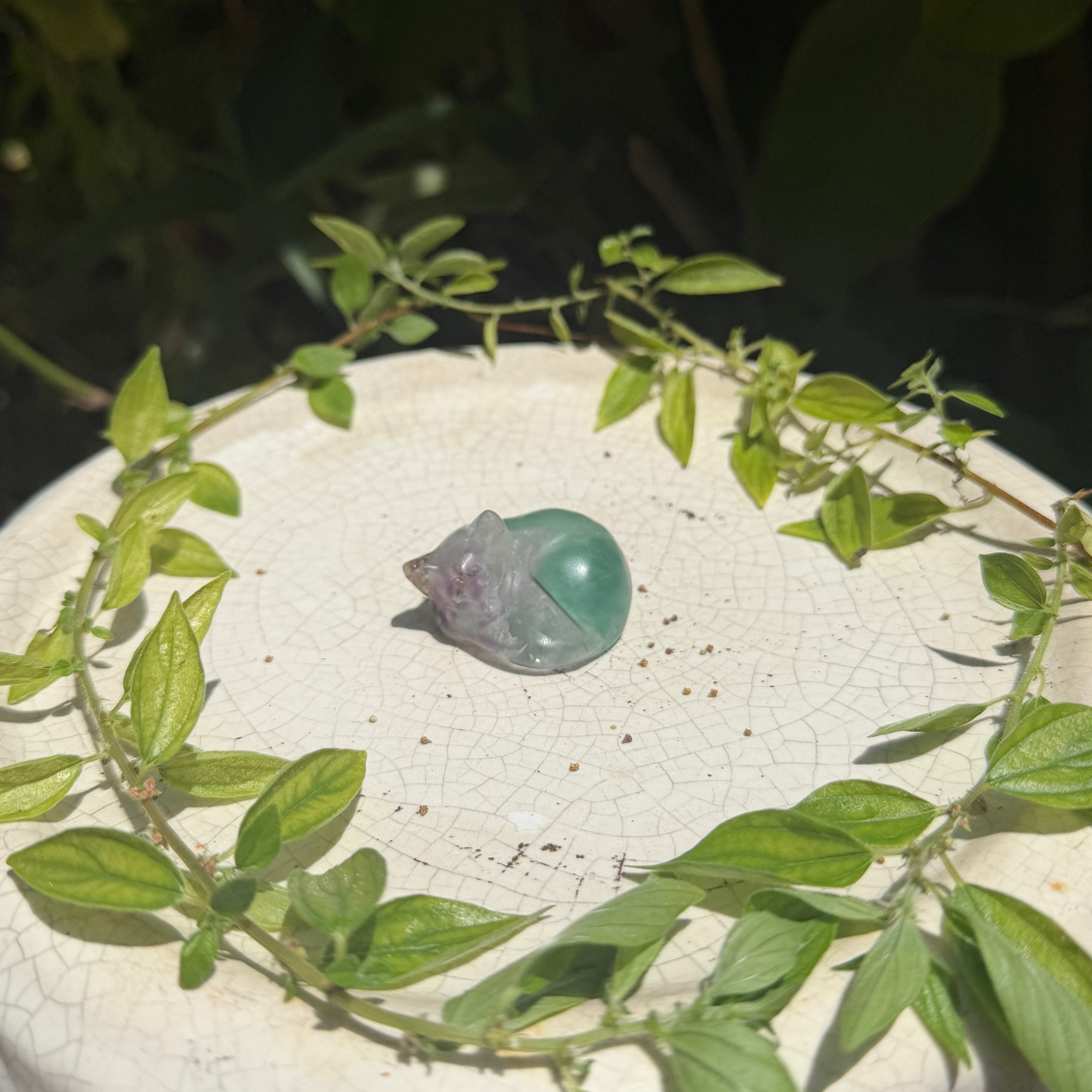 Fluorite Sleeping Kitty Carvings