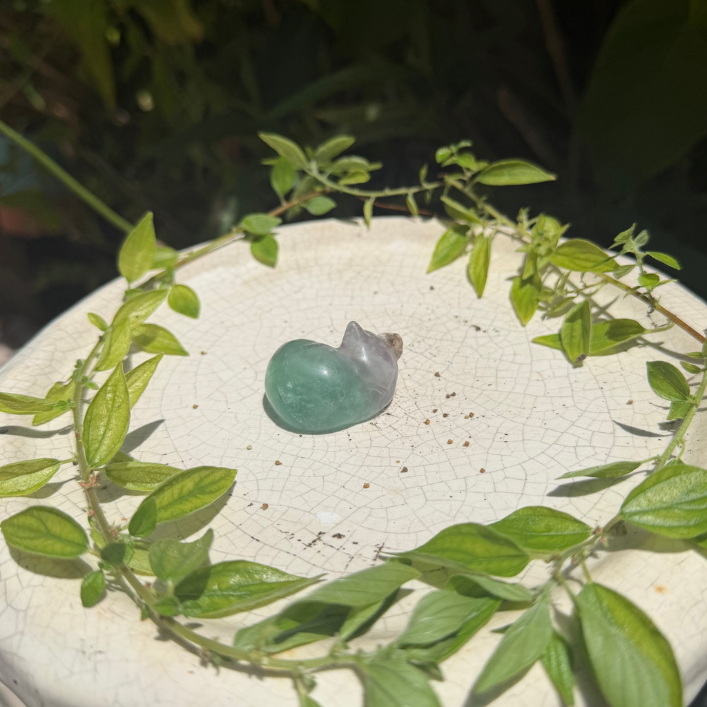 Fluorite Sleeping Kitty Carvings