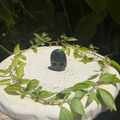 Hedgehog Carvings
