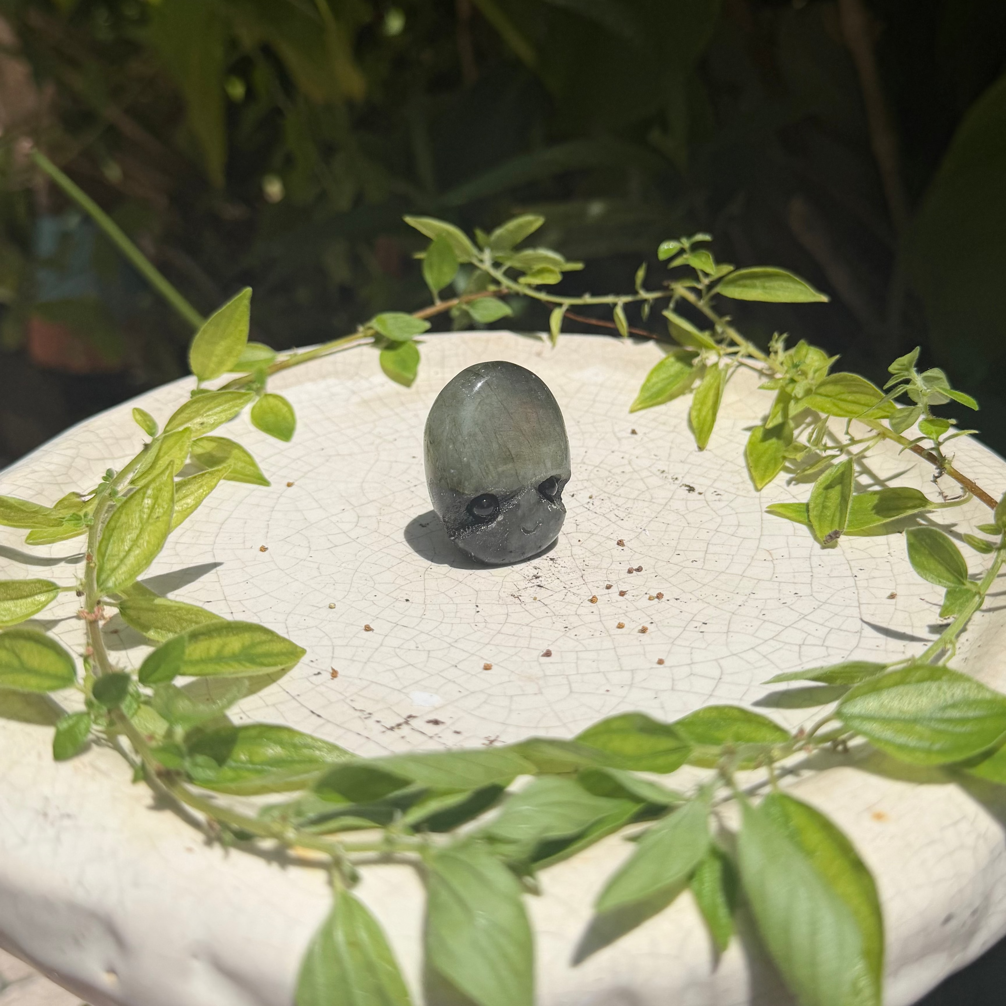Hedgehog Carvings