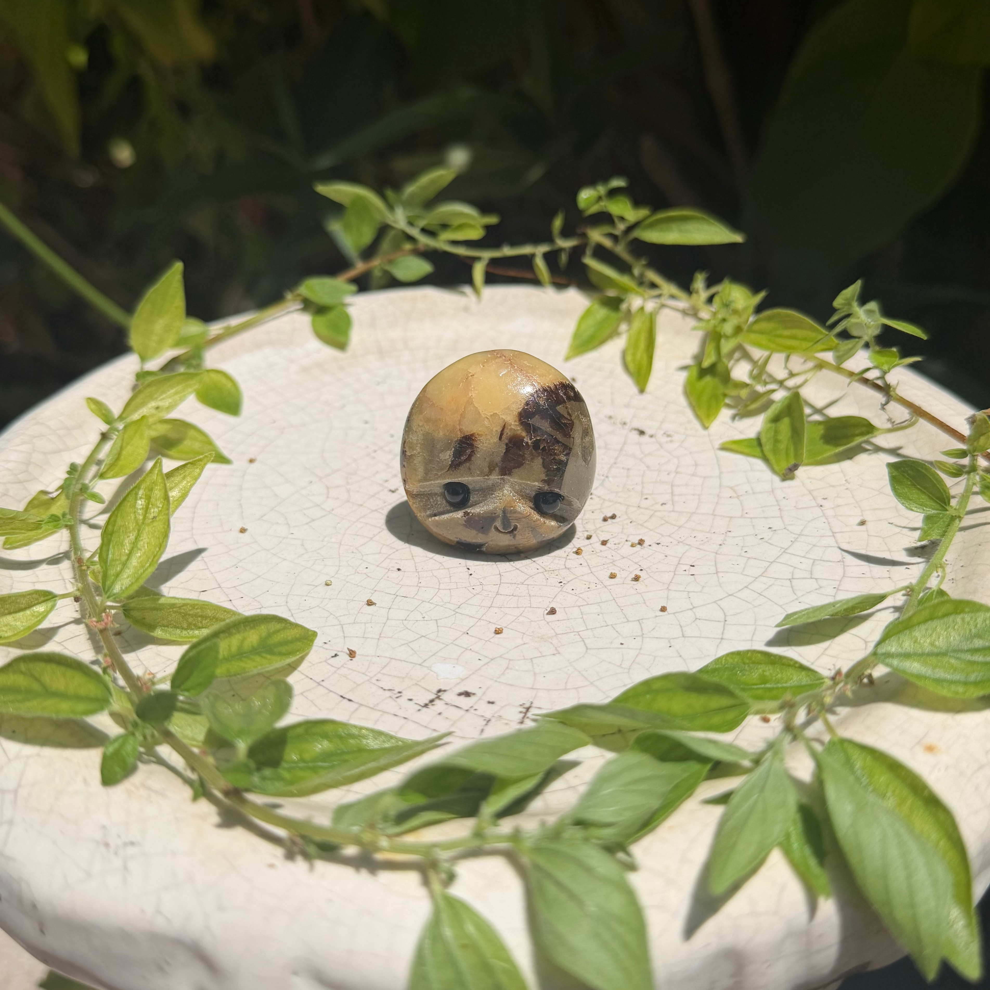 Hedgehog Carvings