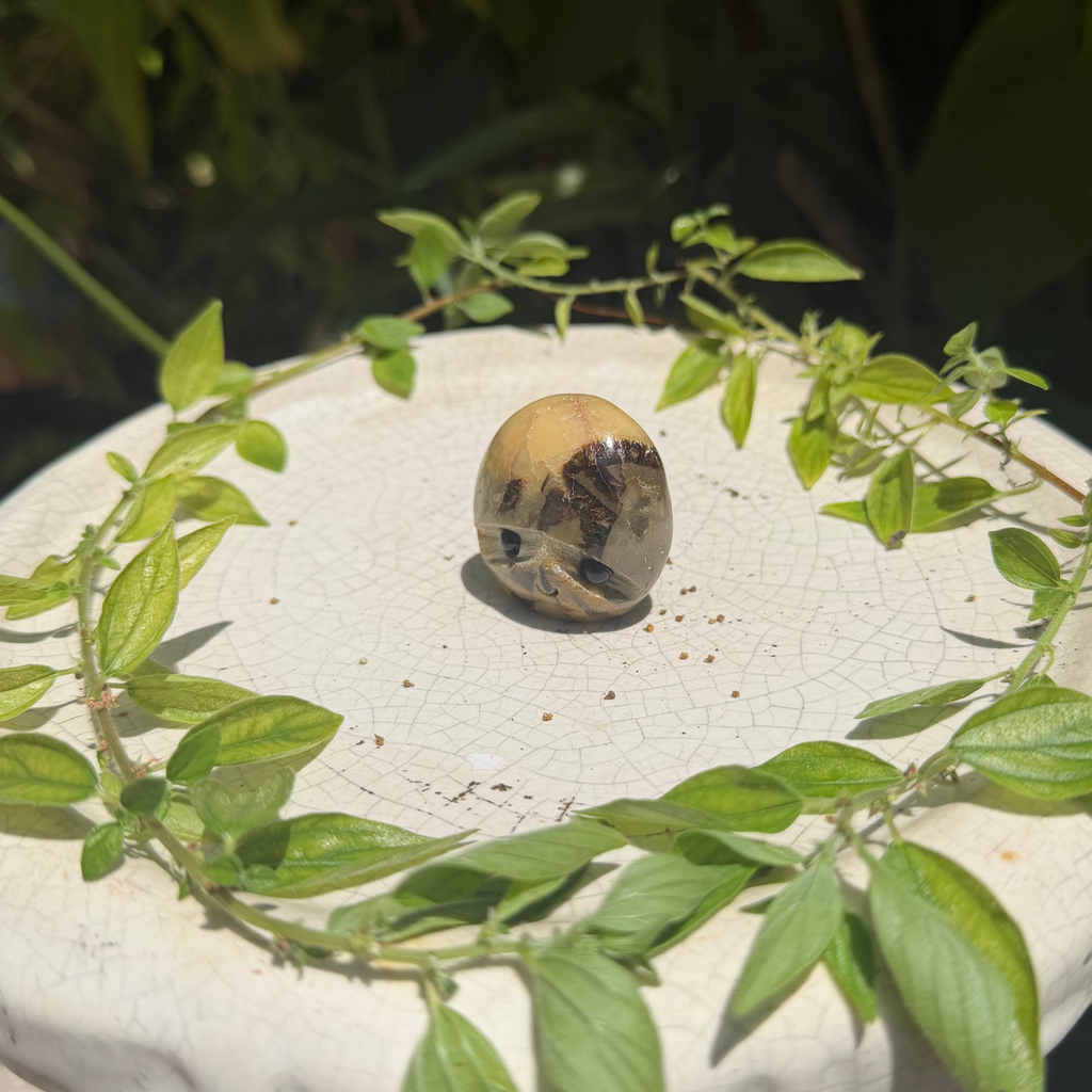 Hedgehog Carvings