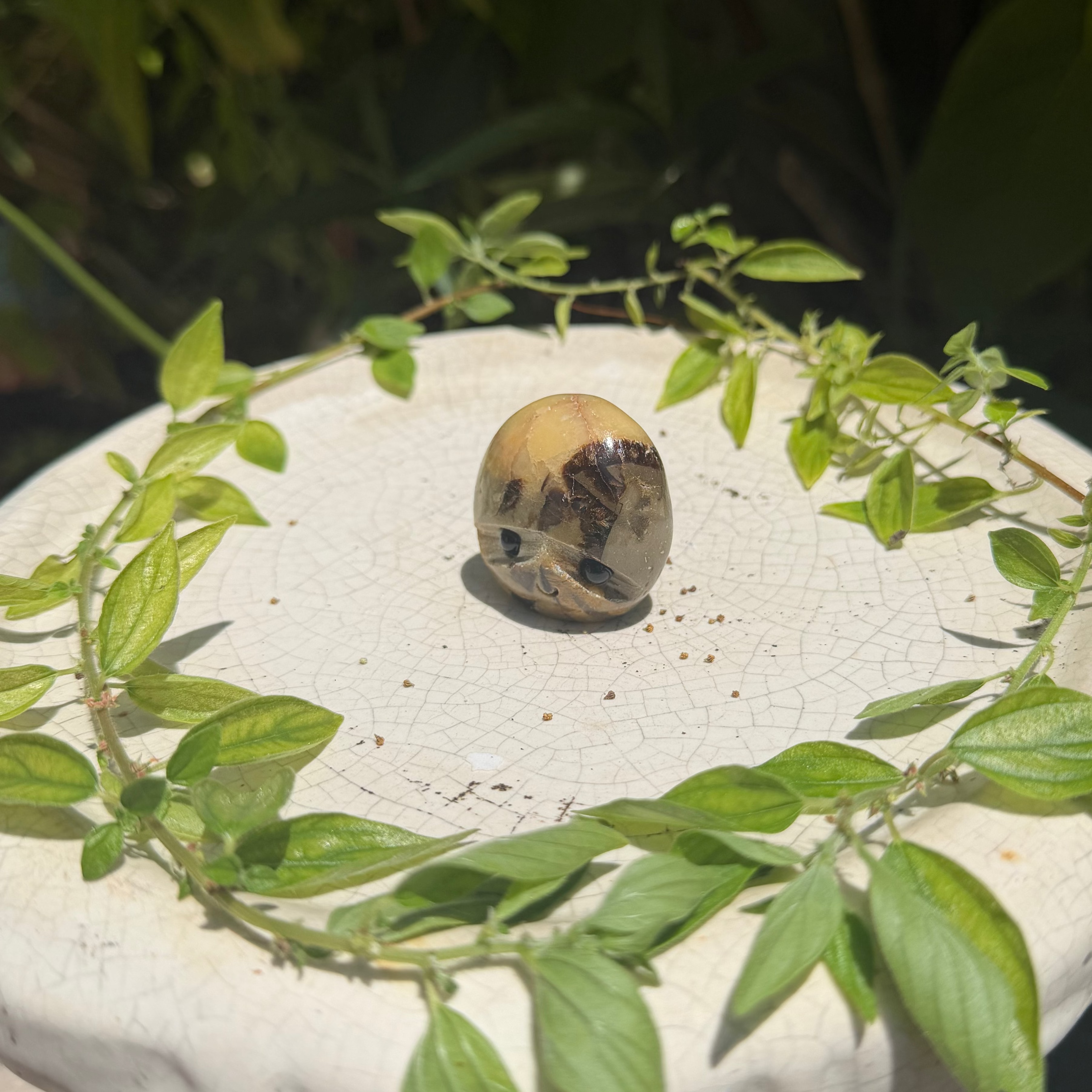 Hedgehog Carvings