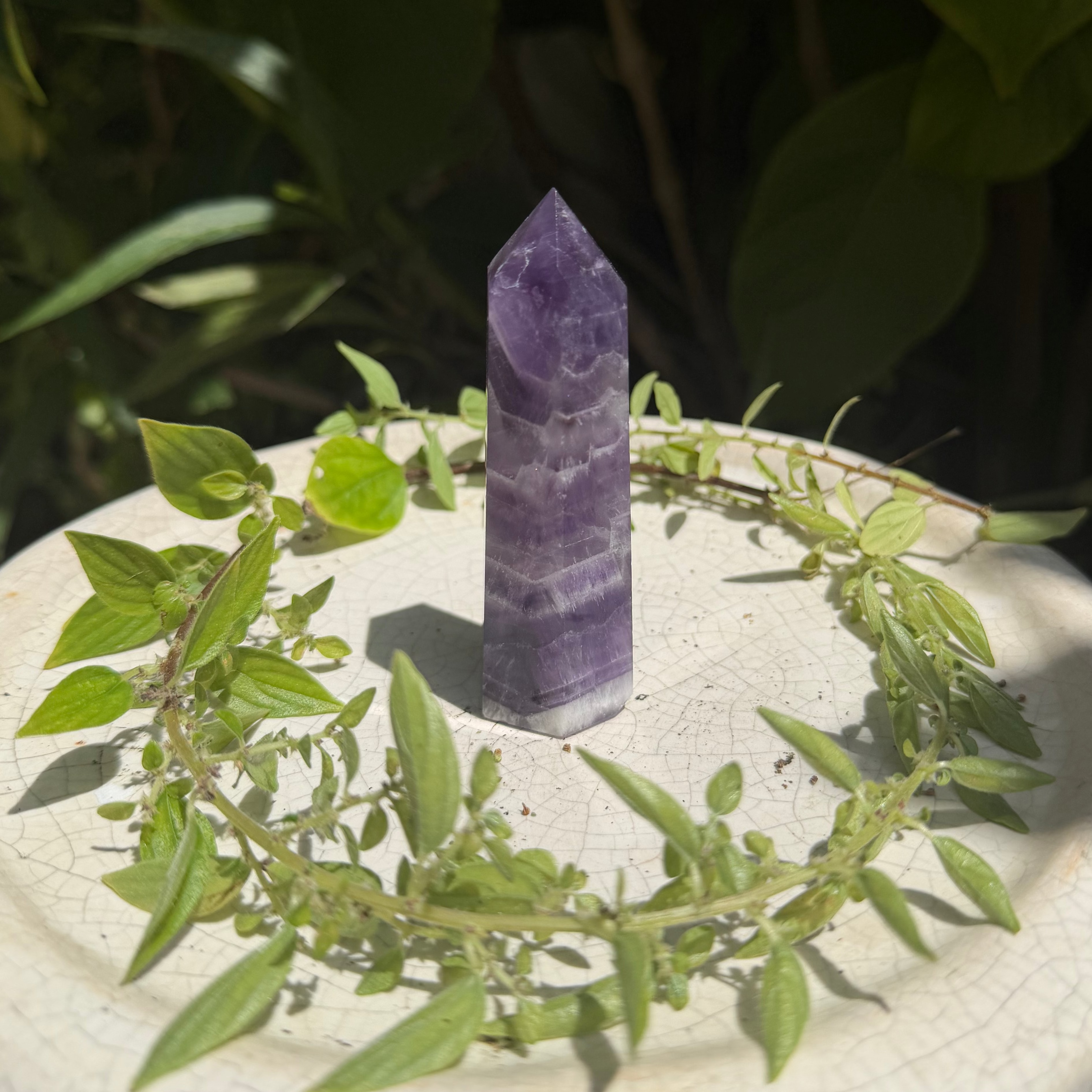 Dream Amethyst Towers