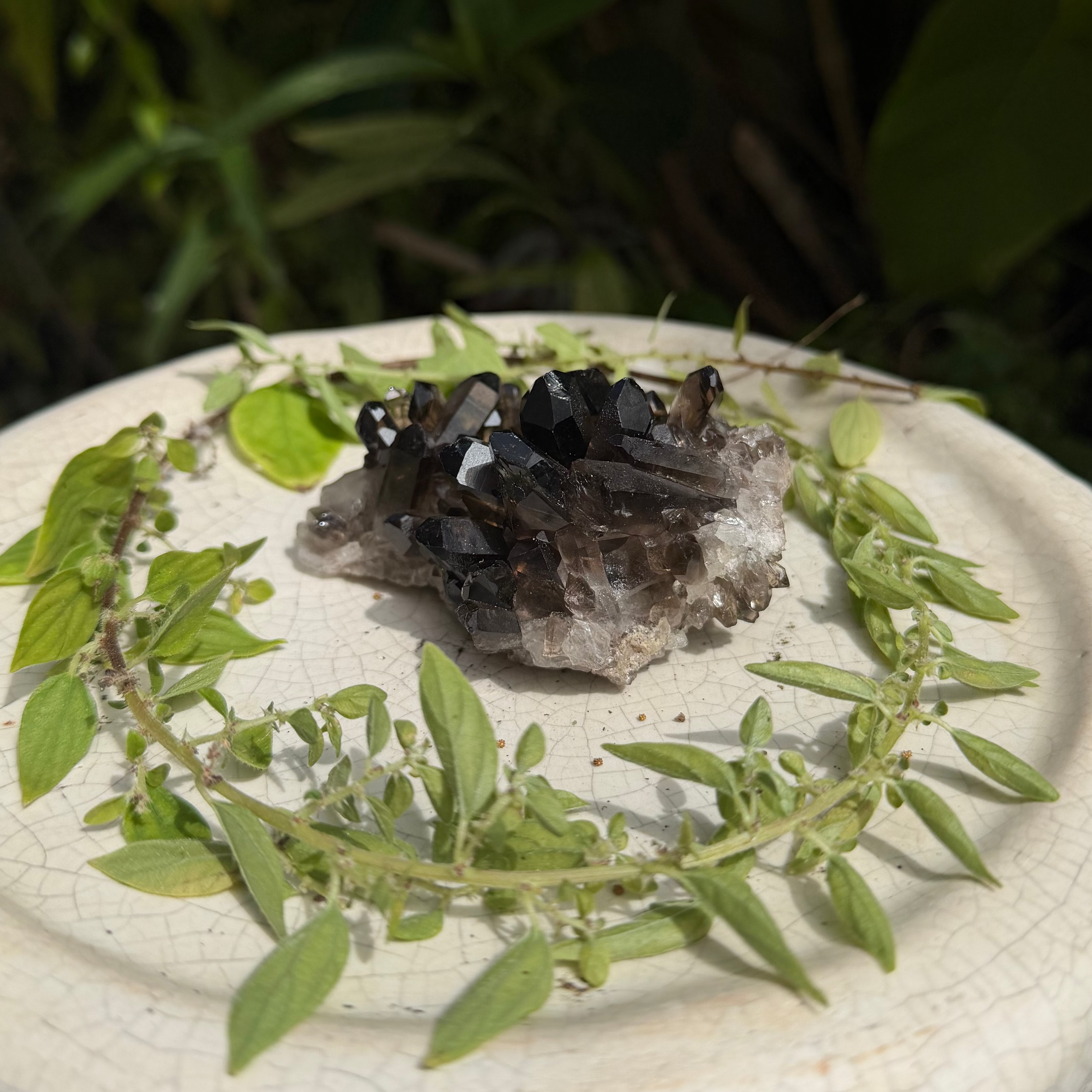 Smoky Quartz Cluster