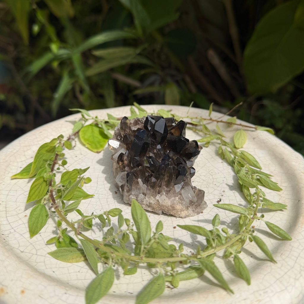 Smoky Quartz Cluster