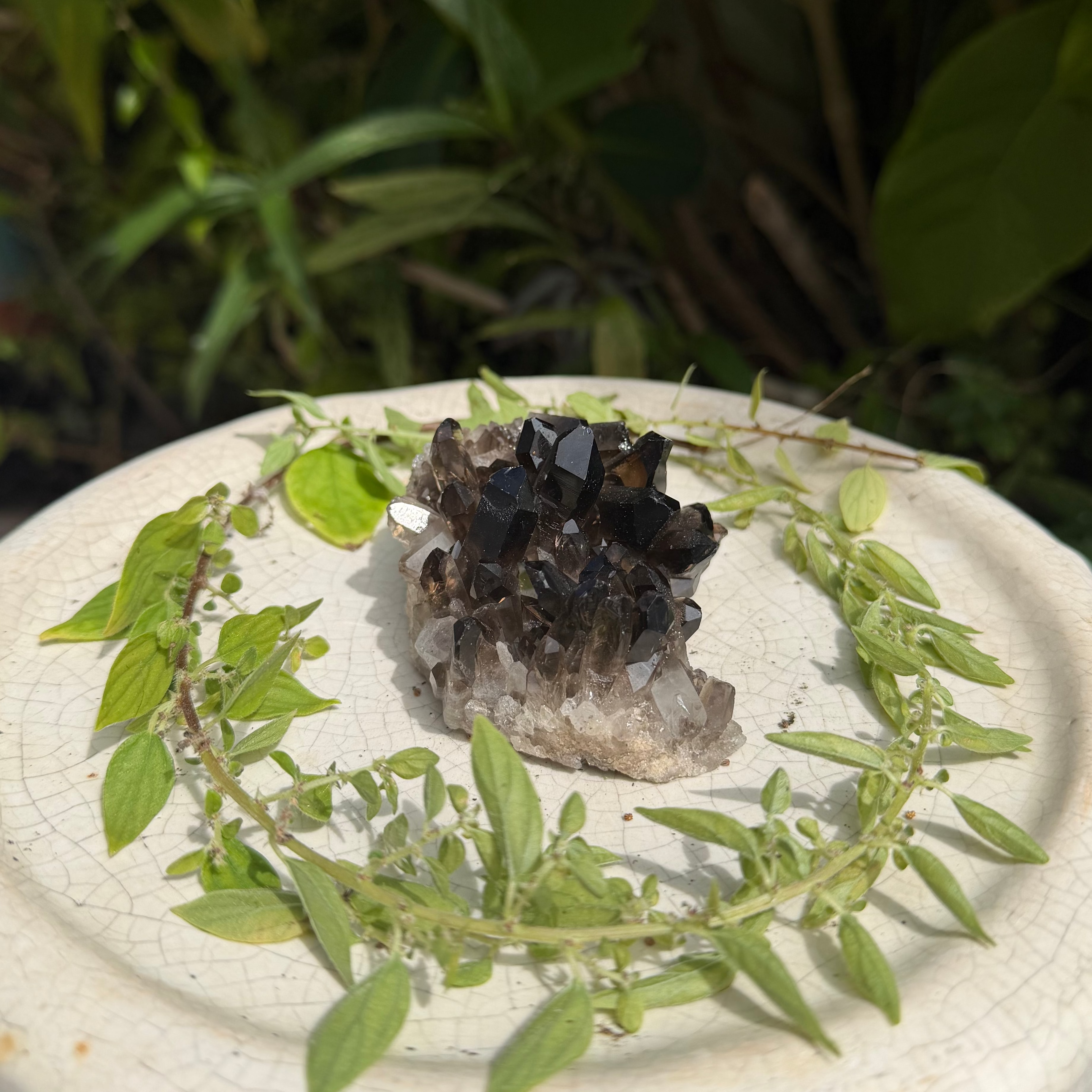 Smoky Quartz Cluster