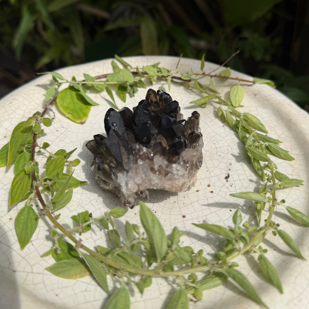 Smoky Quartz Cluster