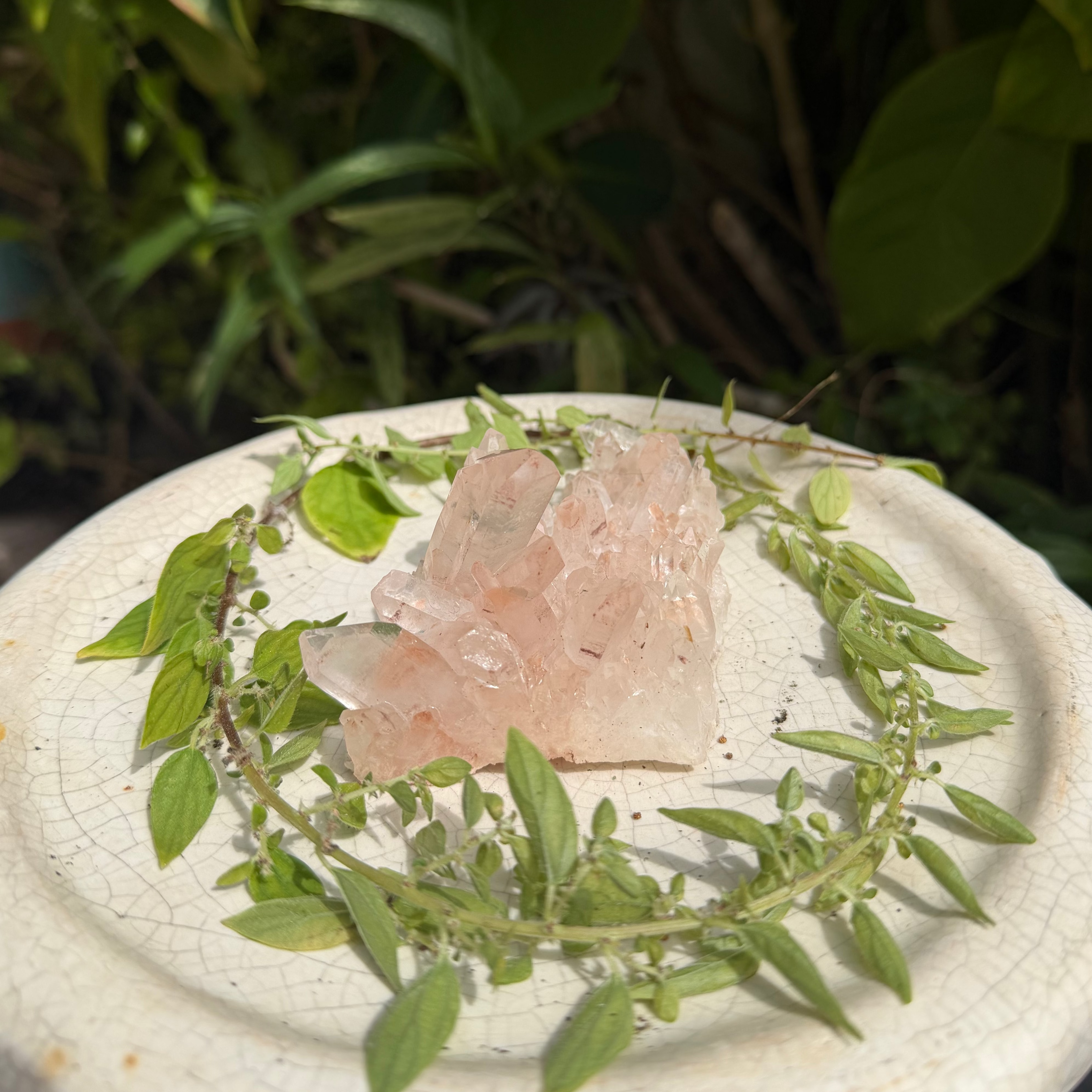 Raw Pink Himalayan Quartz Cluster