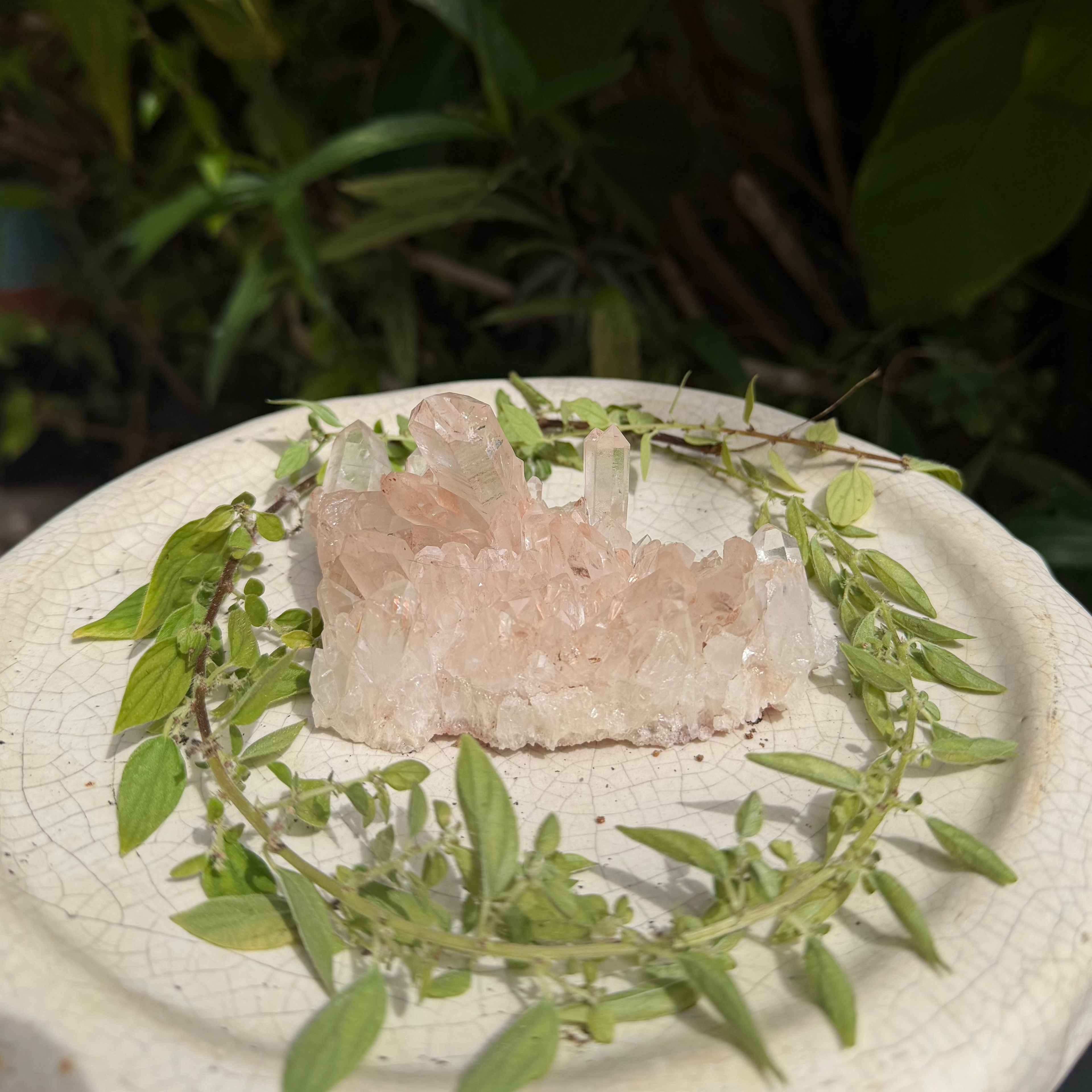 Raw Pink Himalayan Quartz Cluster