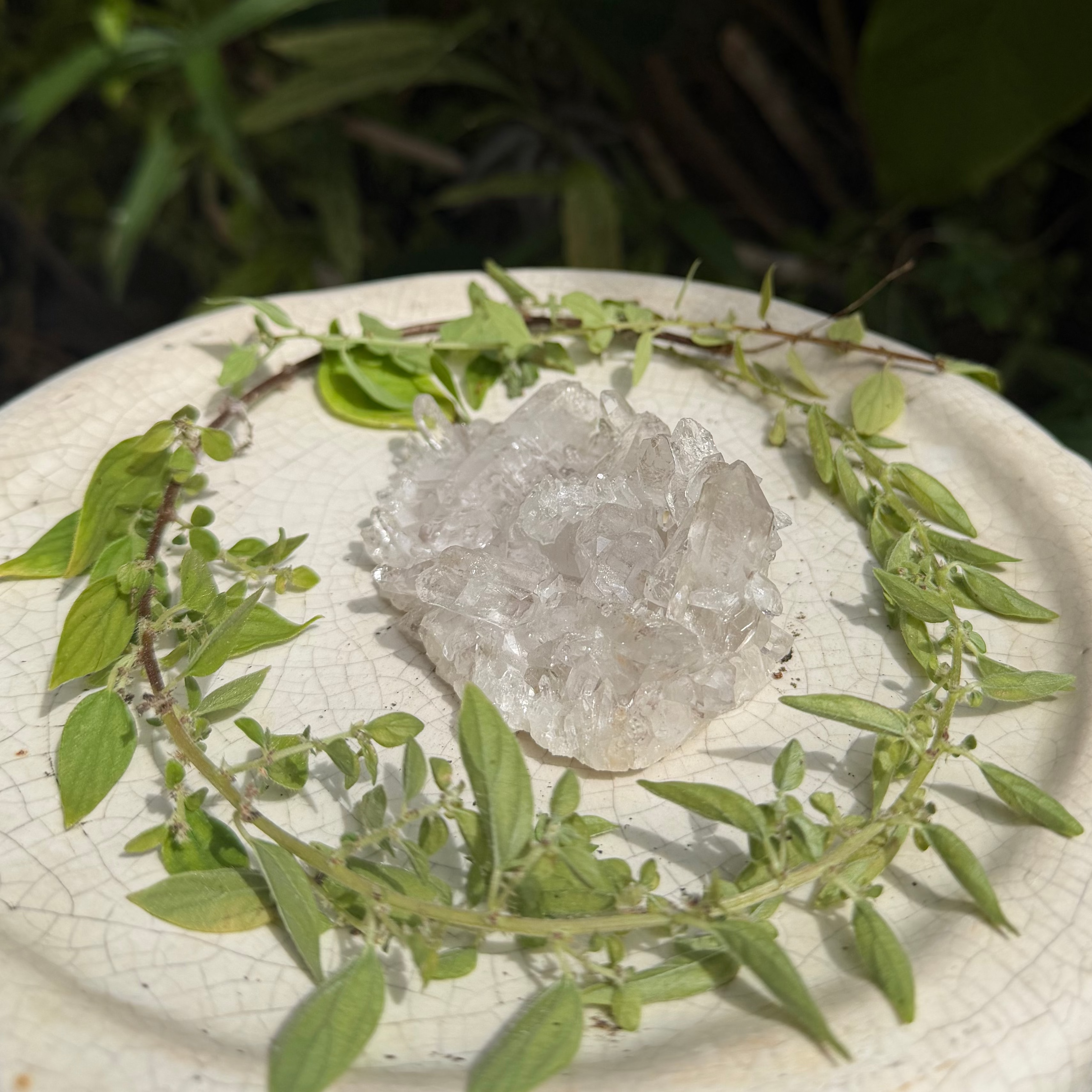 Raw Clear Quartz Cluster