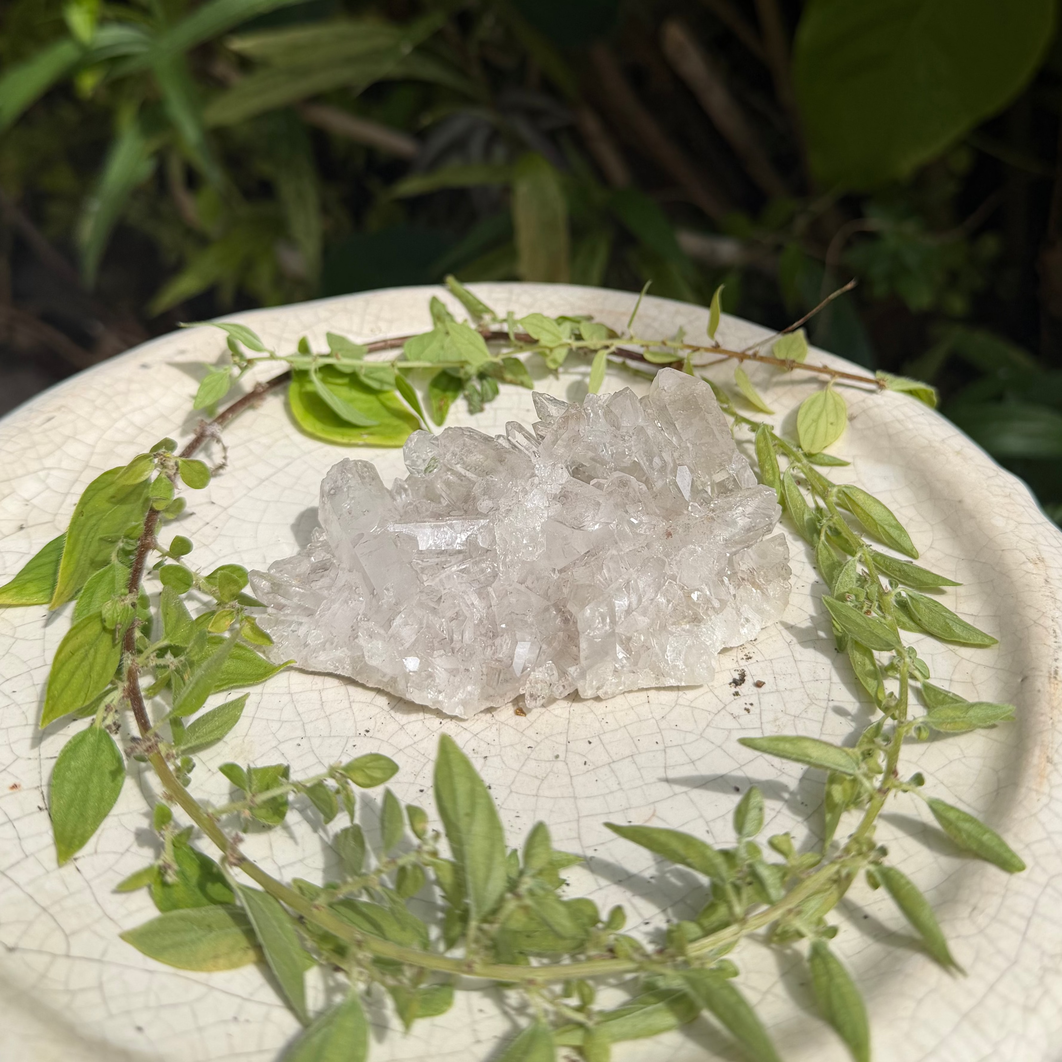 Raw Clear Quartz Cluster