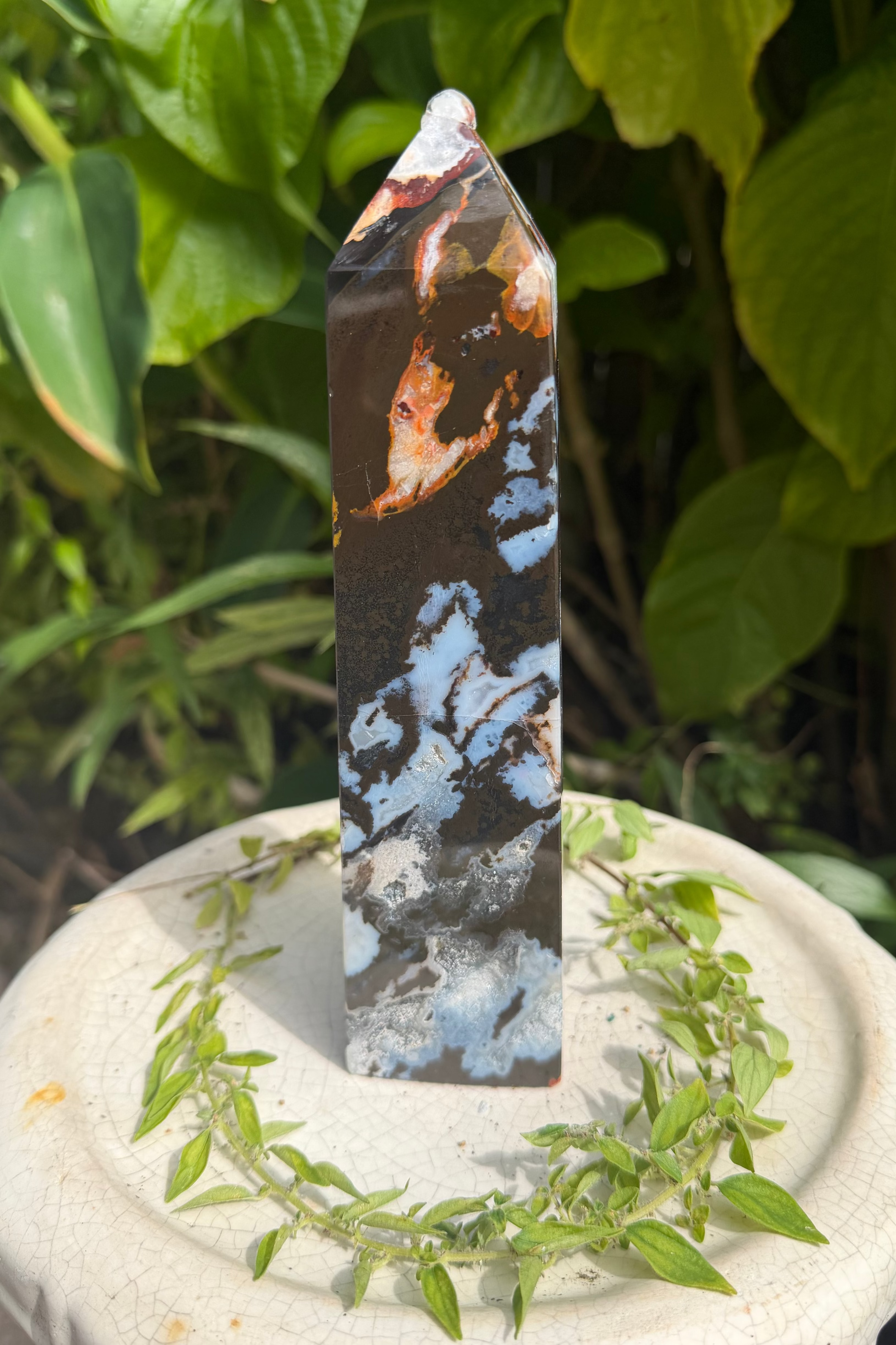 Ocean Jasper Towers