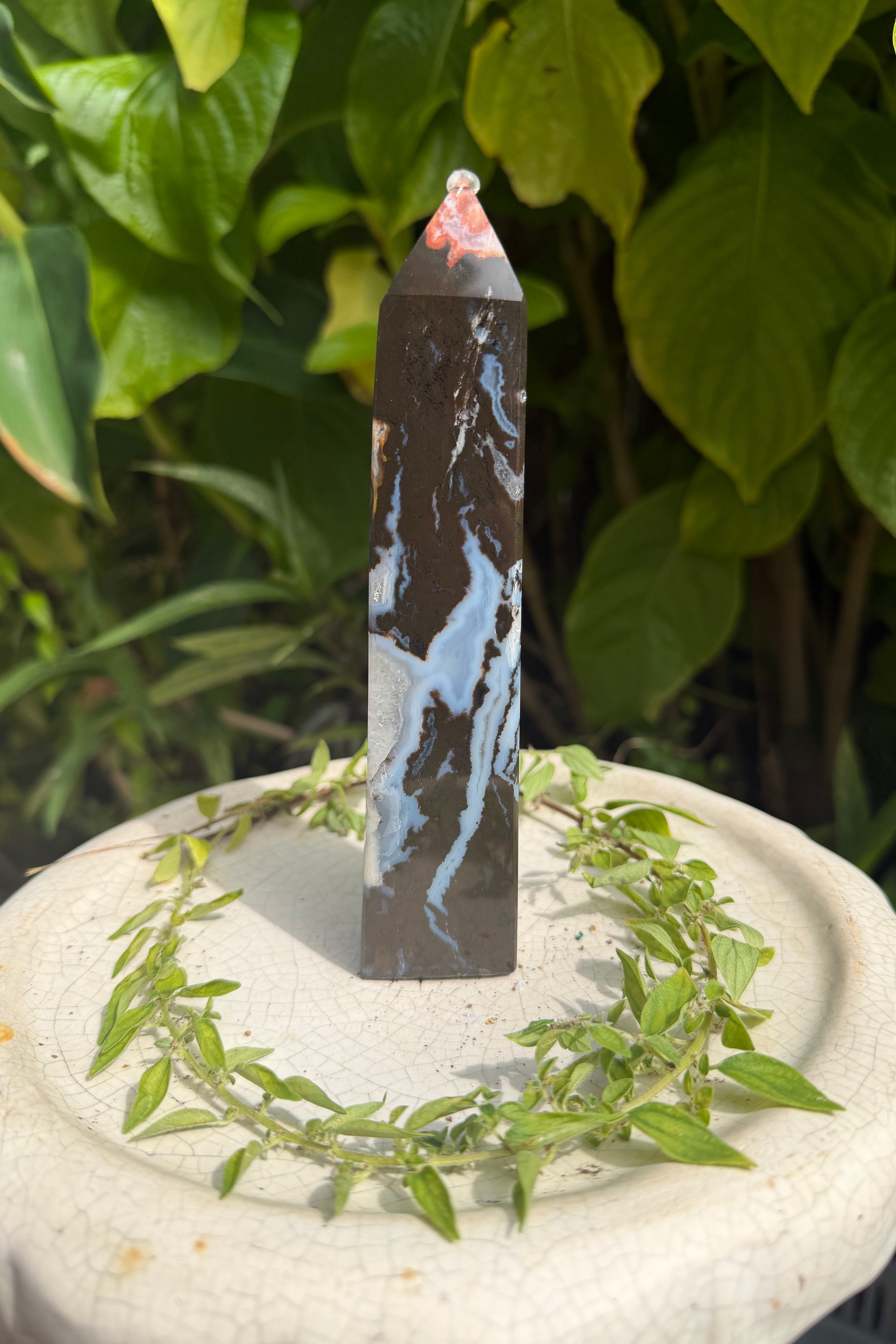 Ocean Jasper Towers