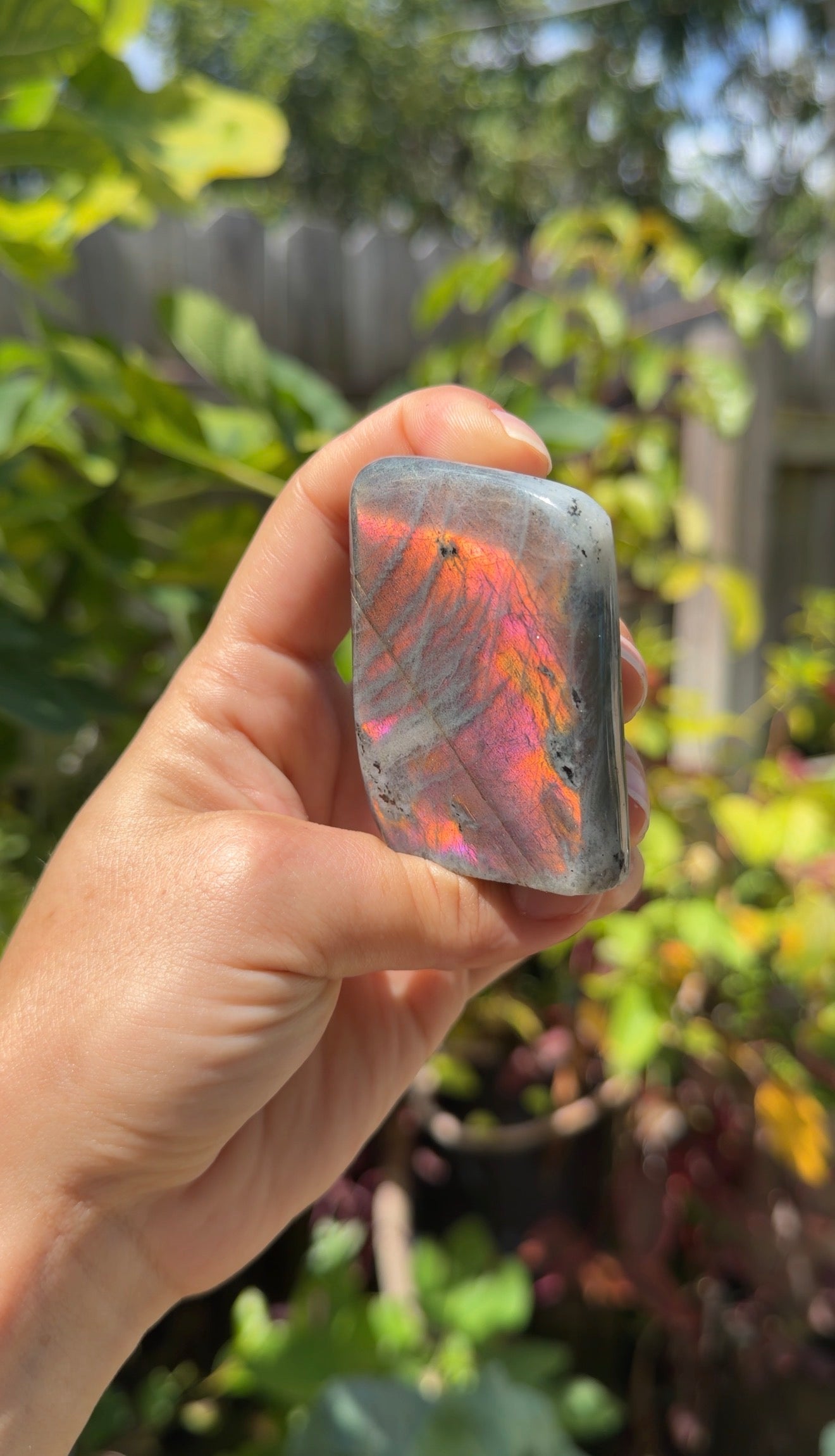 Labradorite Freeforms