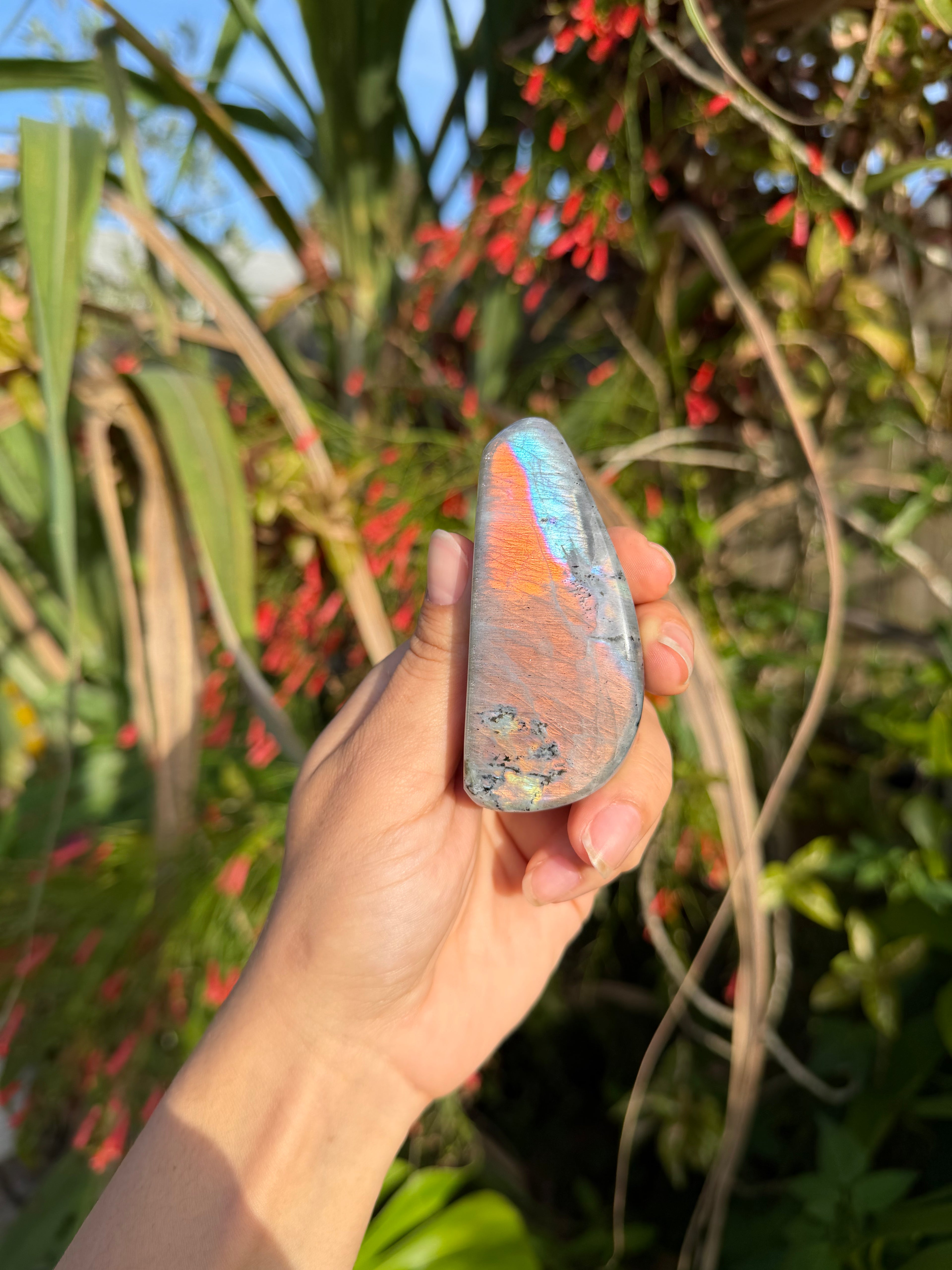 Labradorite Freeforms