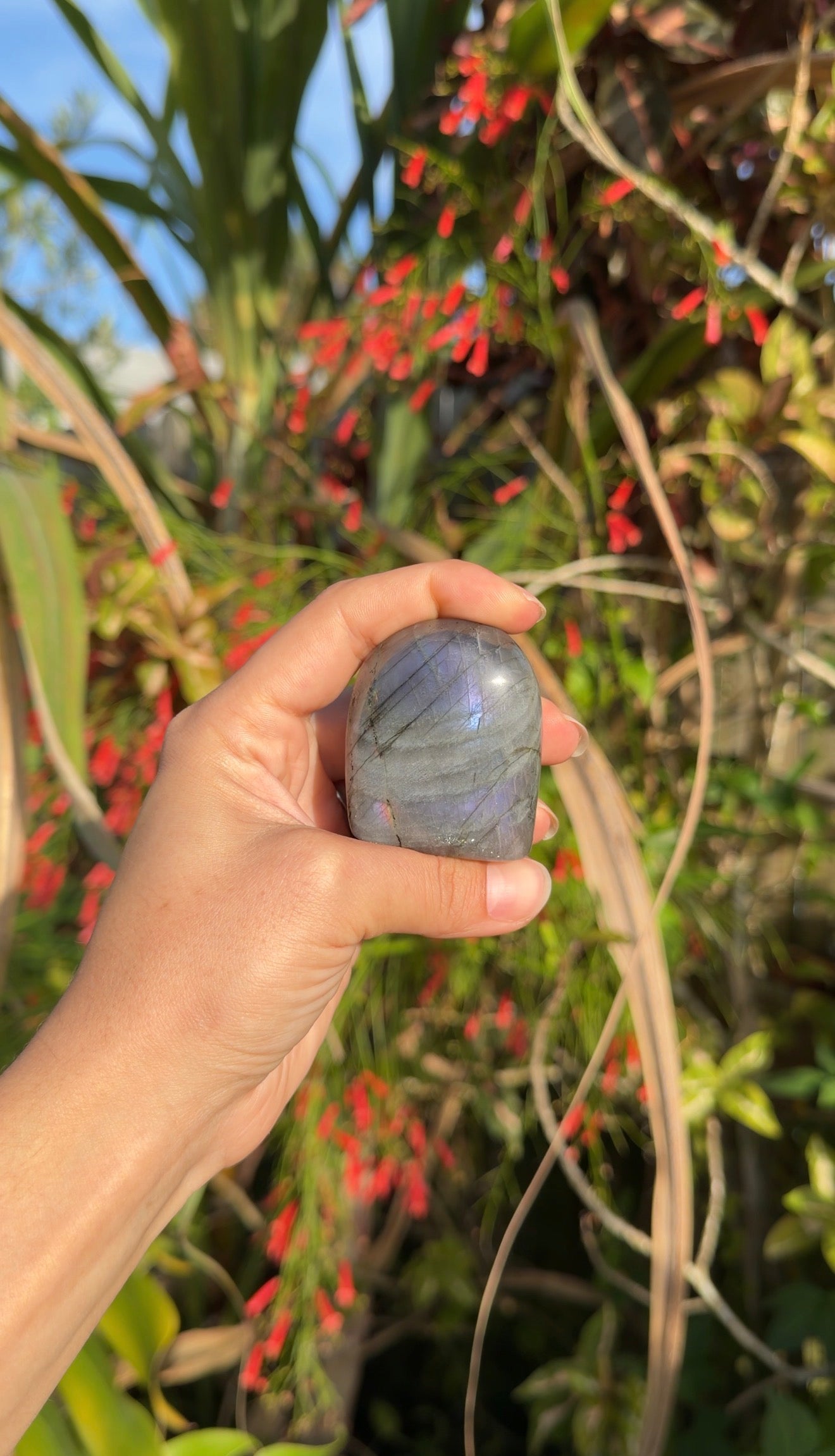 Labradorite Freeforms