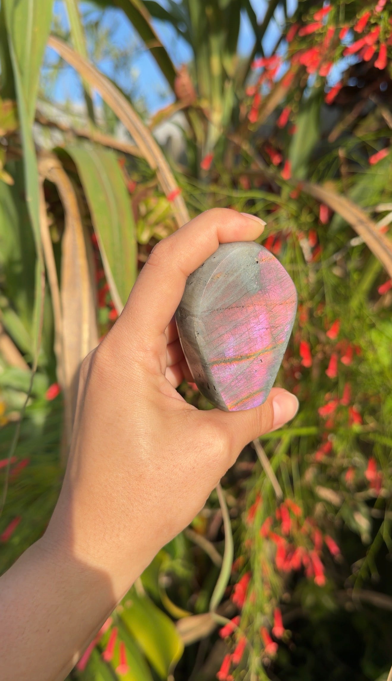 Labradorite Freeforms