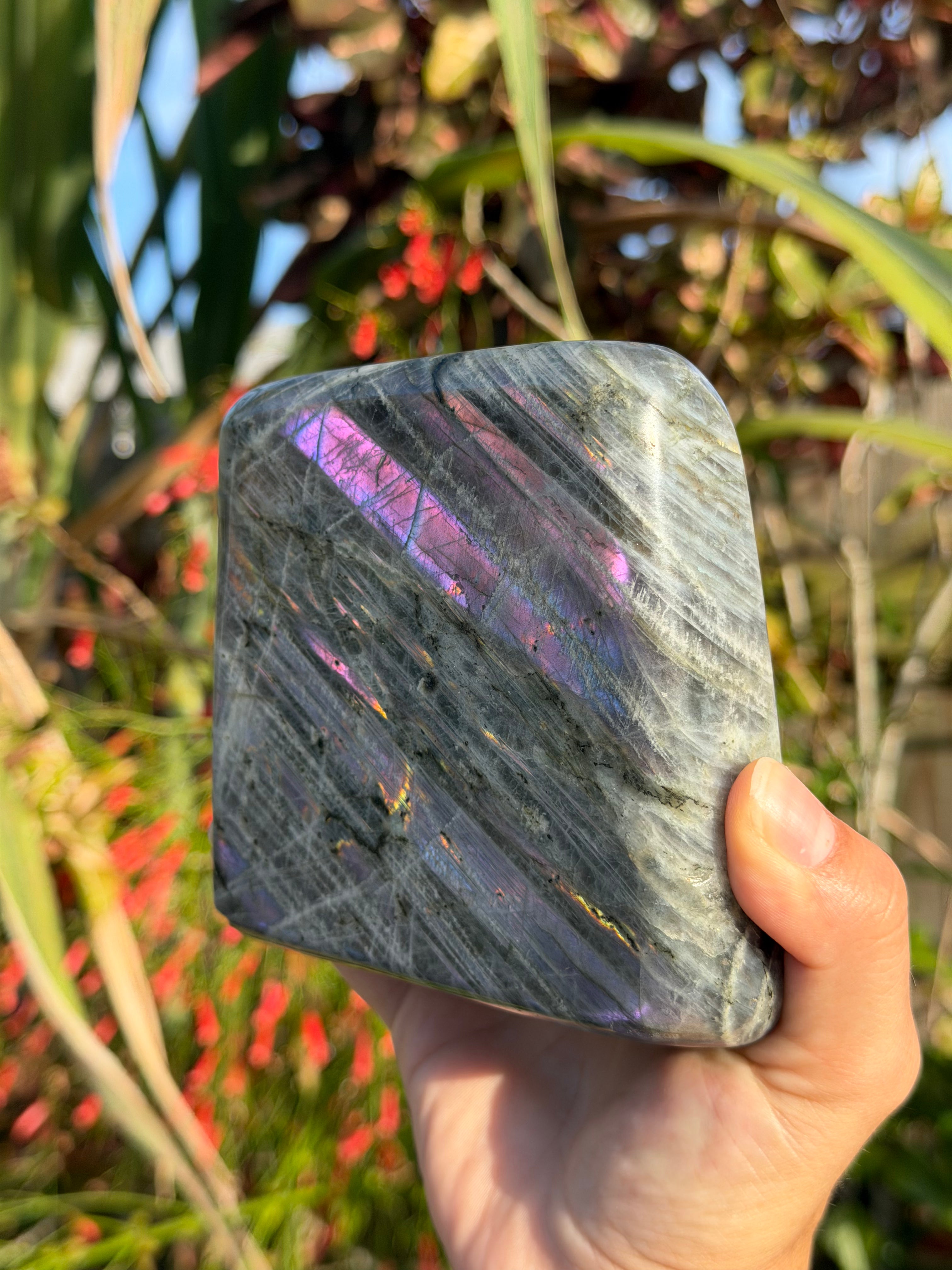 Labradorite Freeforms