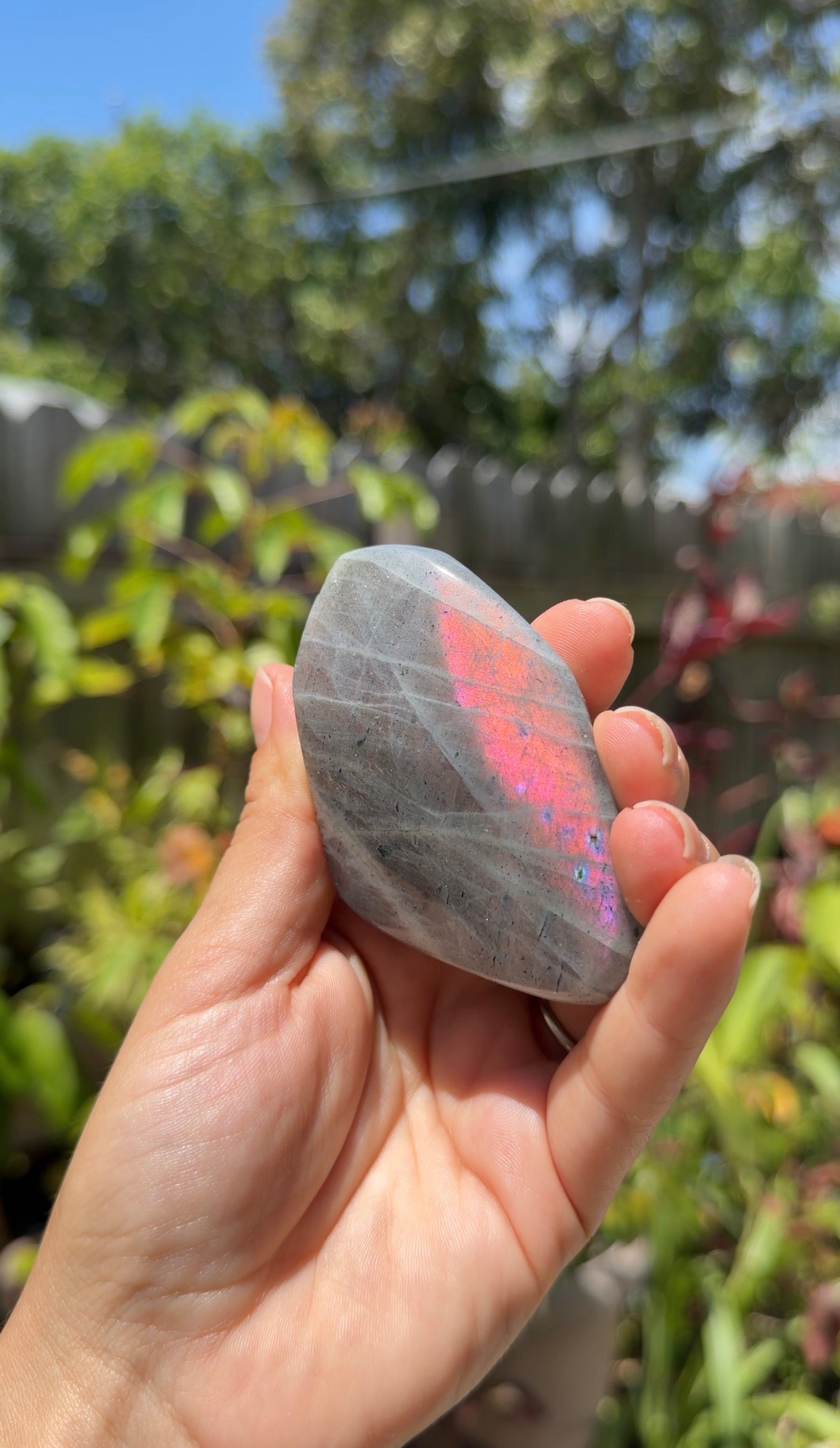 Labradorite Freeforms