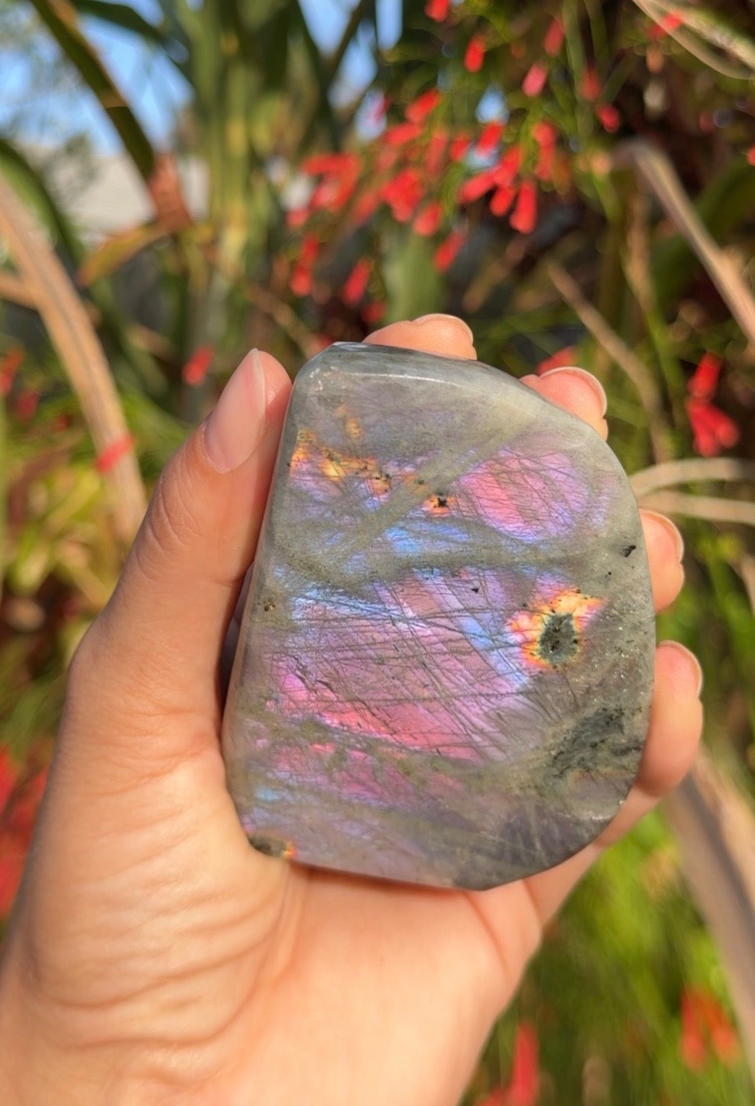 Labradorite Freeforms