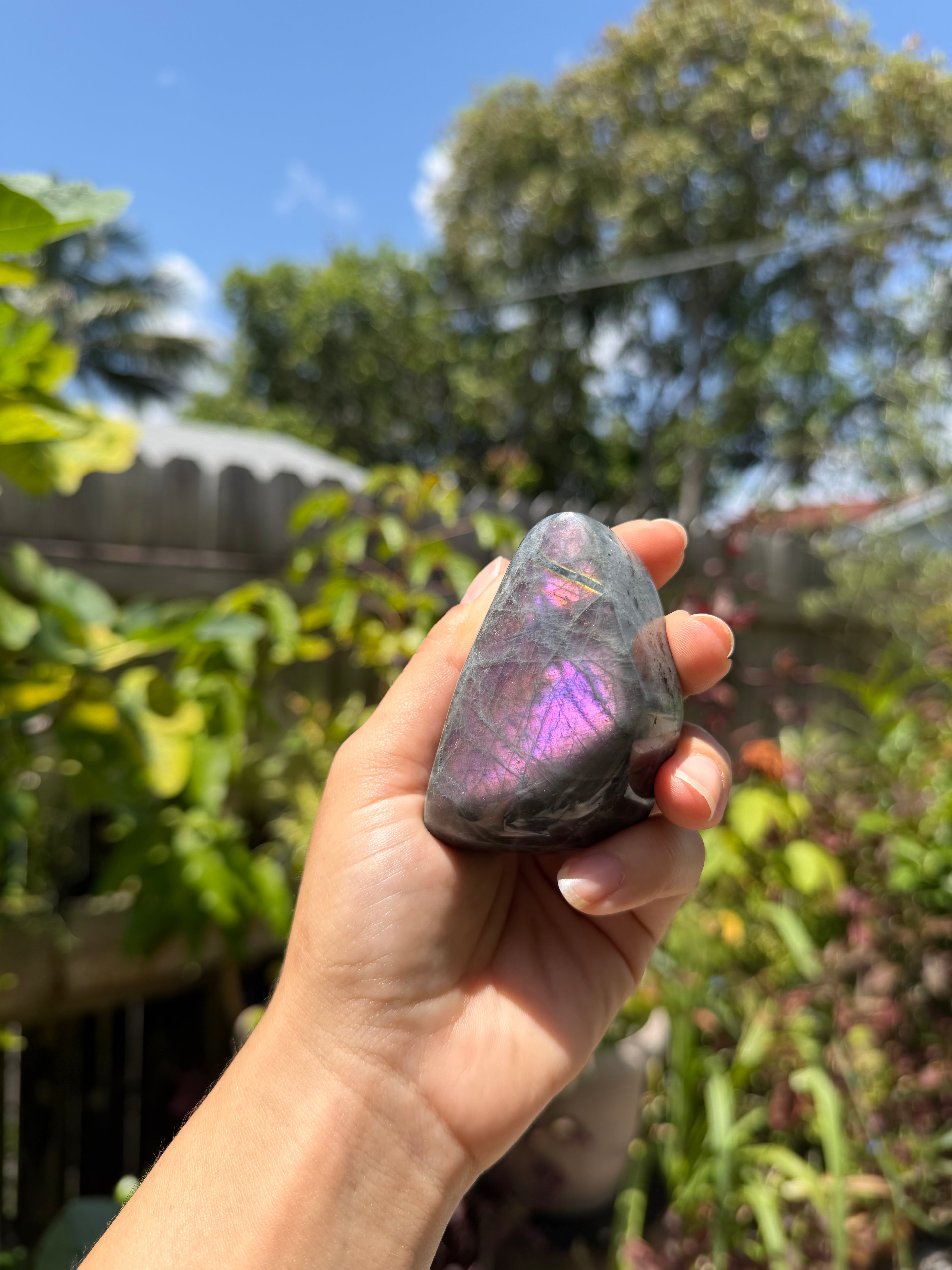Labradorite Freeforms